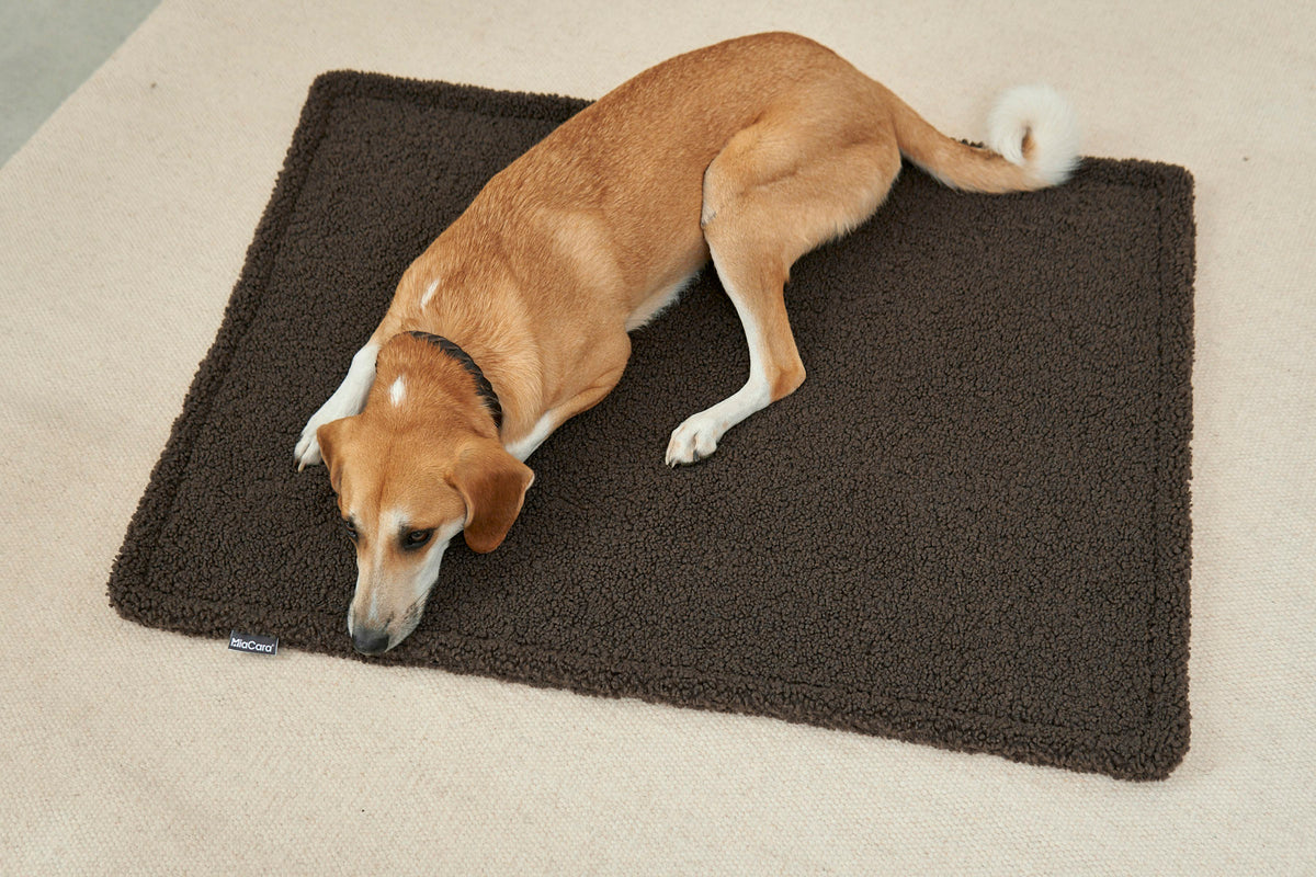 MiaCara Senso Hundedecke Schokolade Hundekissen