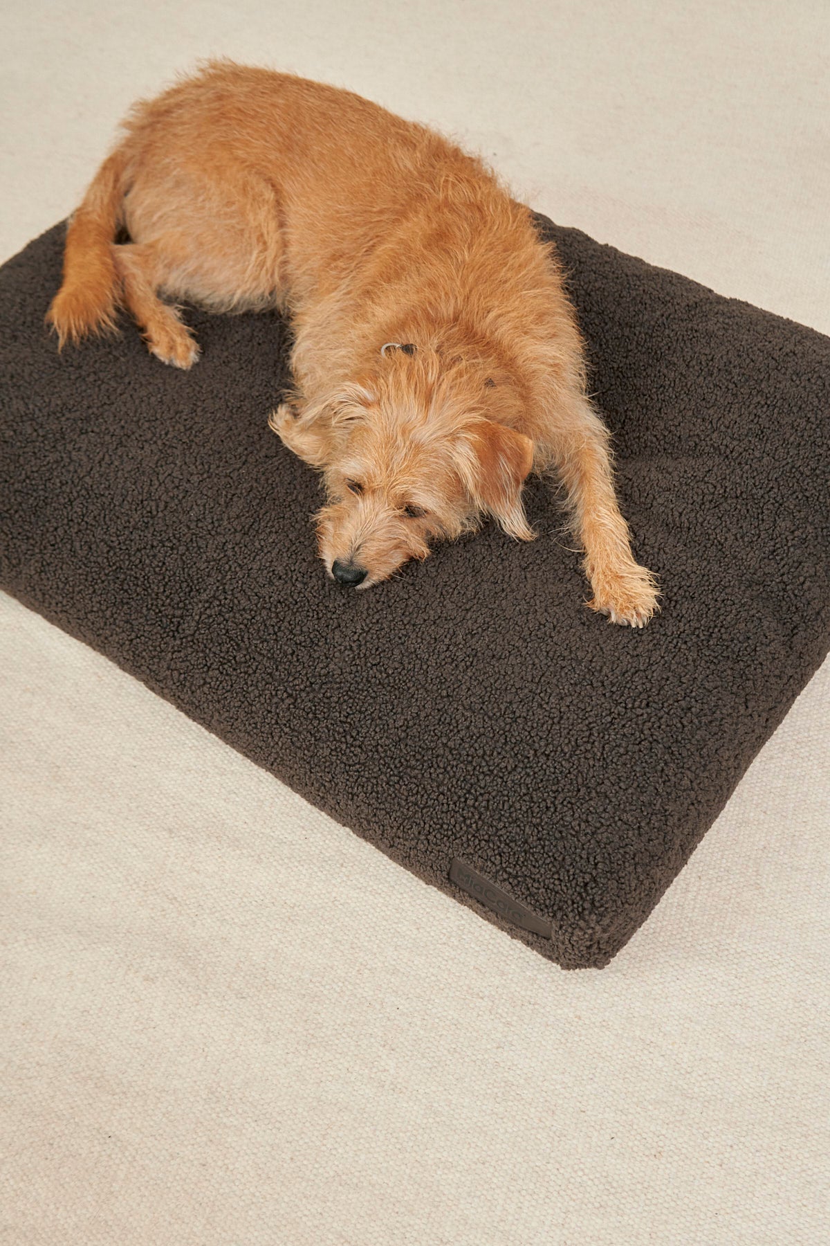 MiaCara Senso Hundekissen Schokolade Hundekissen orthopädisch
