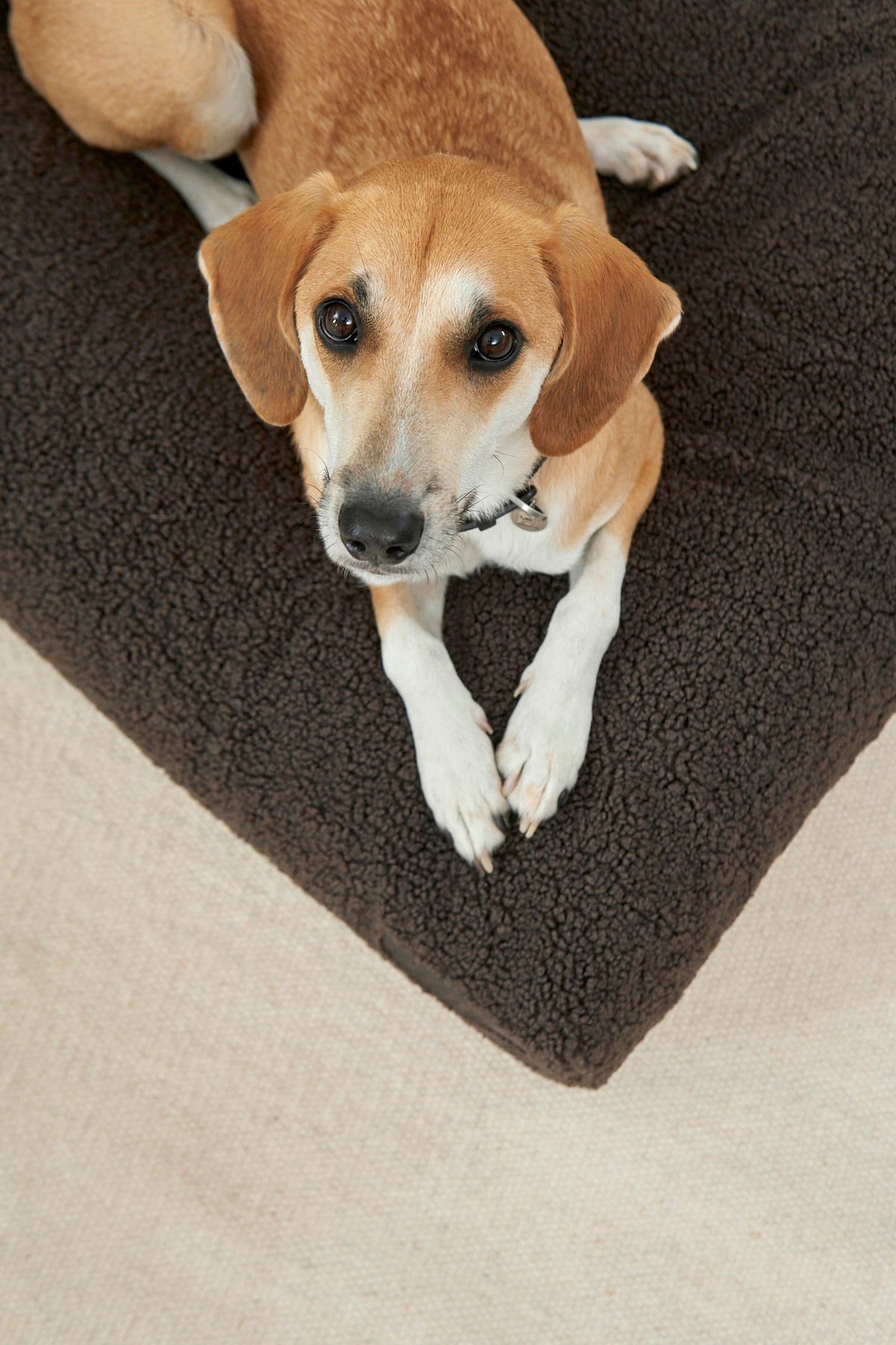MiaCara Senso Hundekissen Schokolade Hundekissen weich