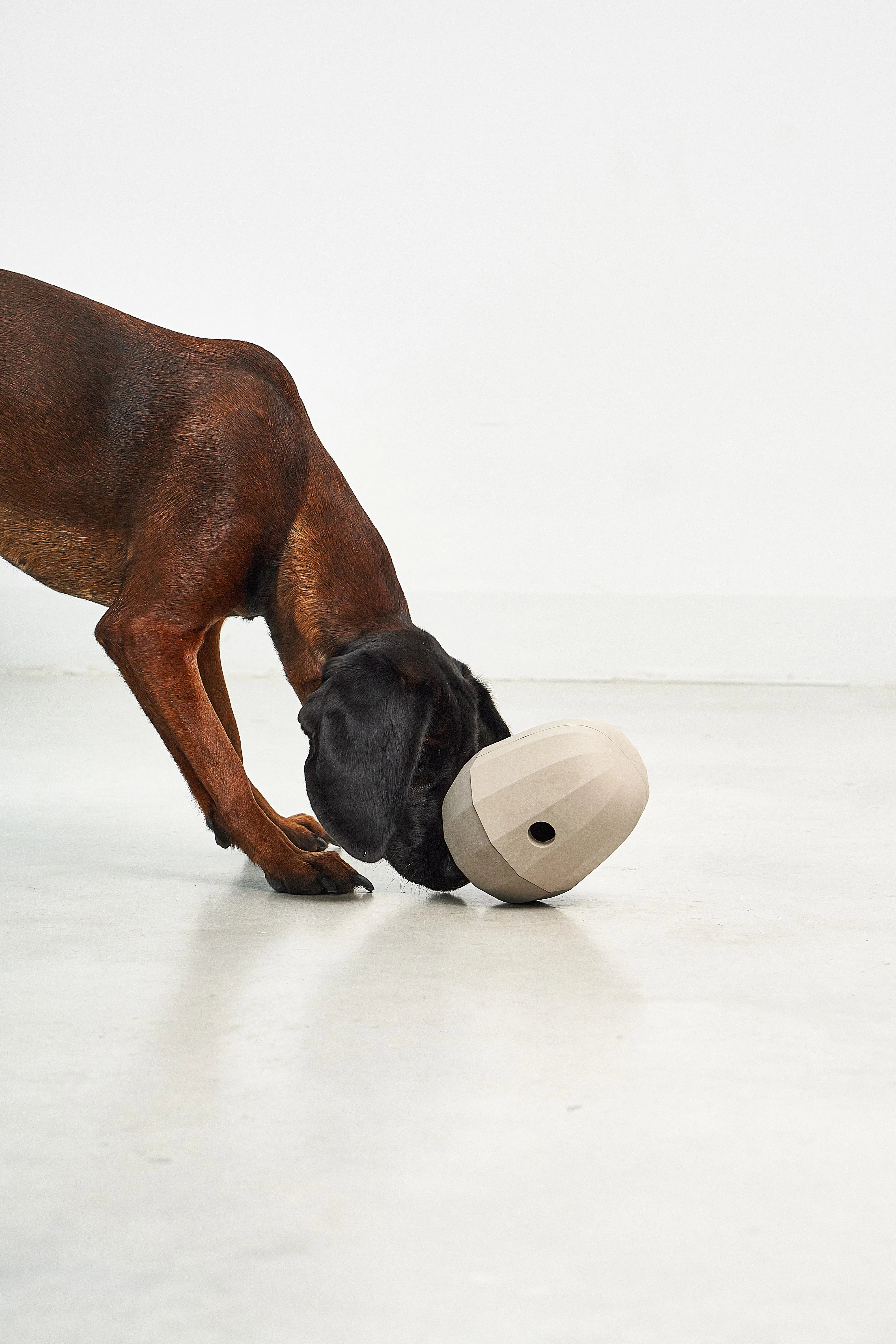 MiaCara Uovo Beschäftigungsspielzeug Greige Hund Spielzeug Welpenspielzeug