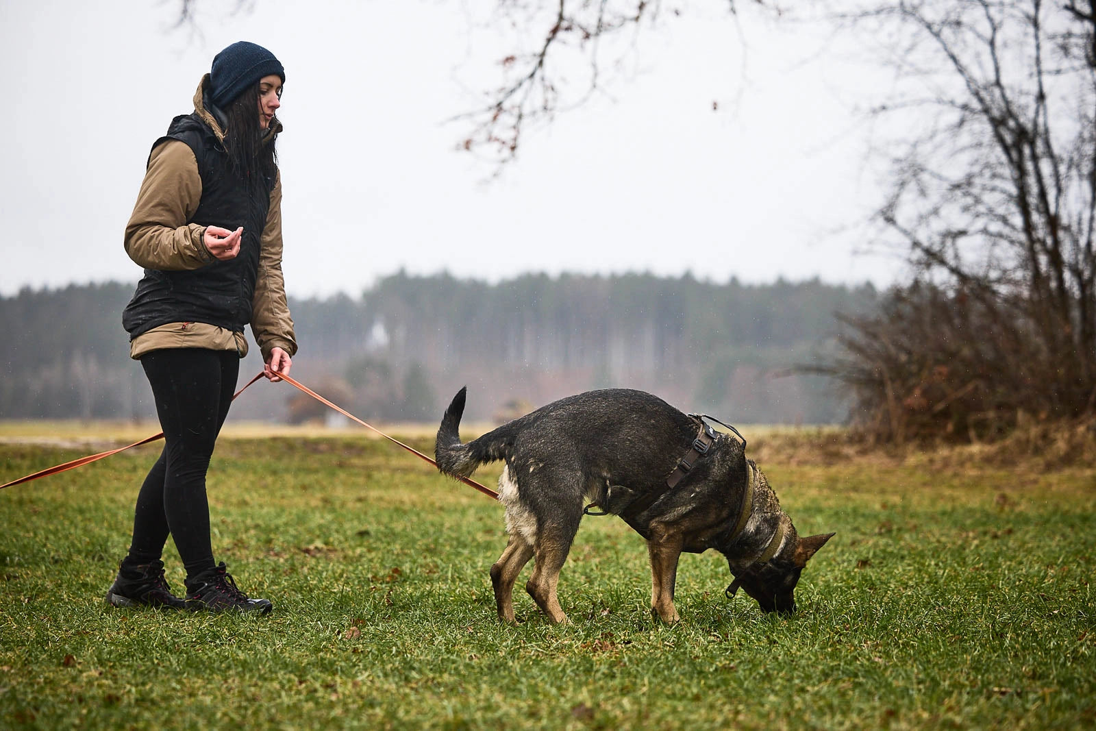 Non-Stop Dogwear Line harness Grip WD Hundegeschirr mit Griff
