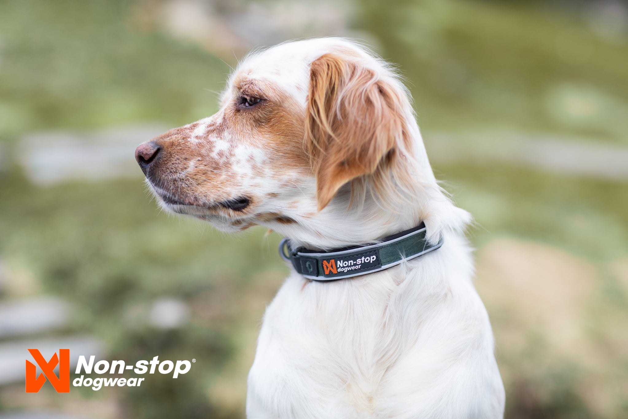 Non Stop Dogwear Roam Collar Green gepolstertes Halsband