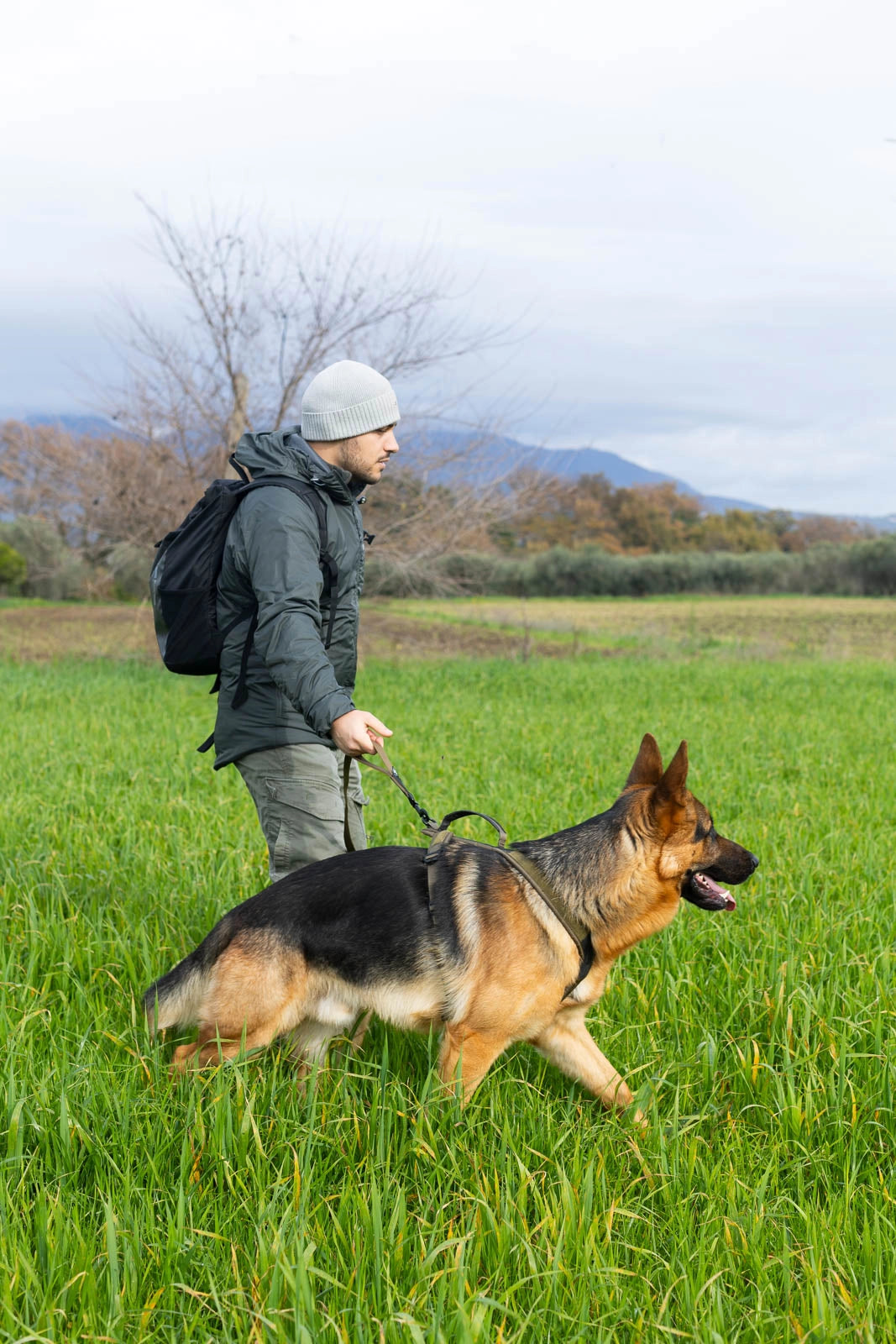 Non-Stop Dogwear Touring Bungee WD Bungeeleine fuer Hunde