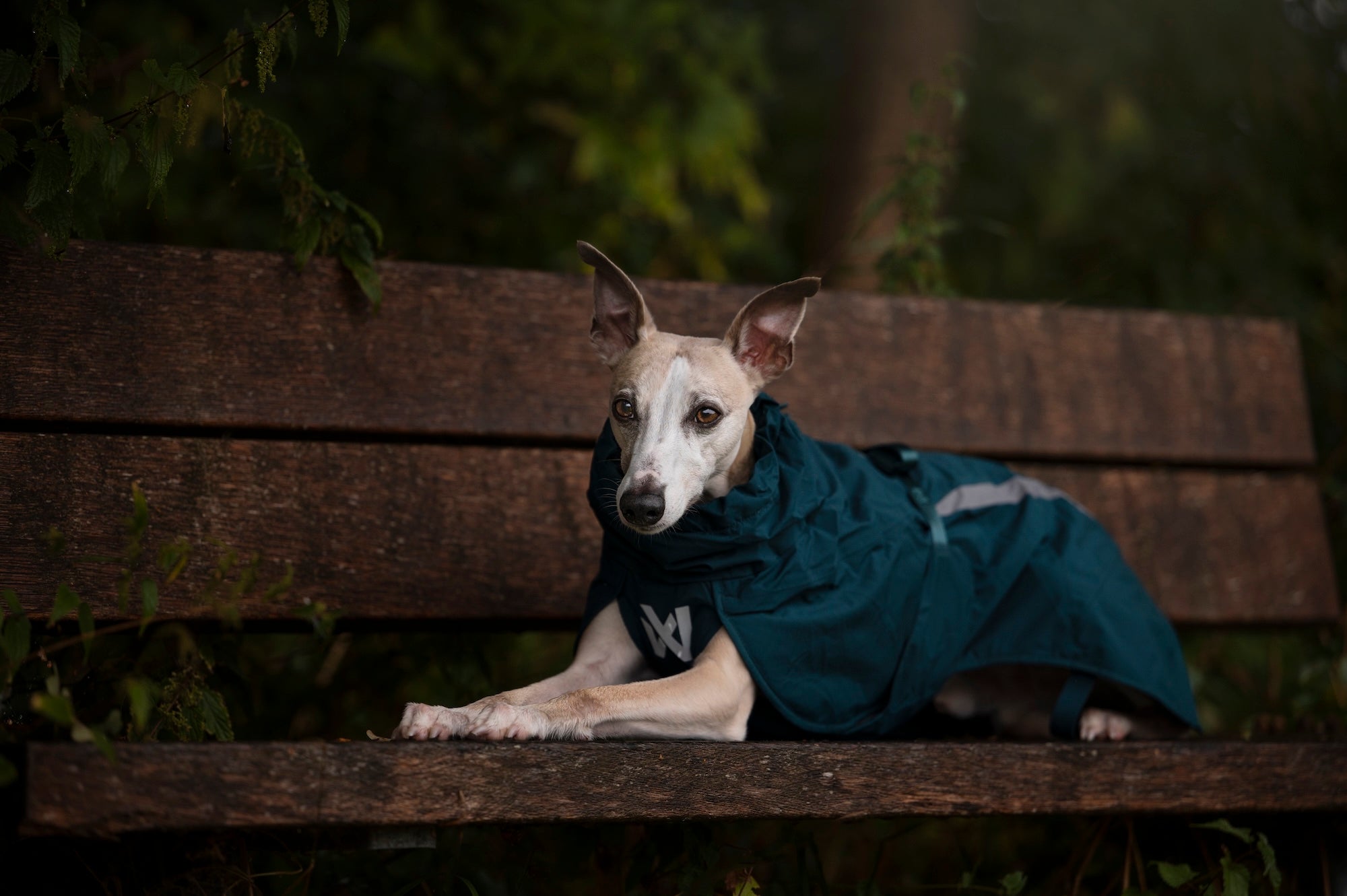 Non stop dogwear Fjord lined Raincoat Hunderegenjacke wasserabweisend
