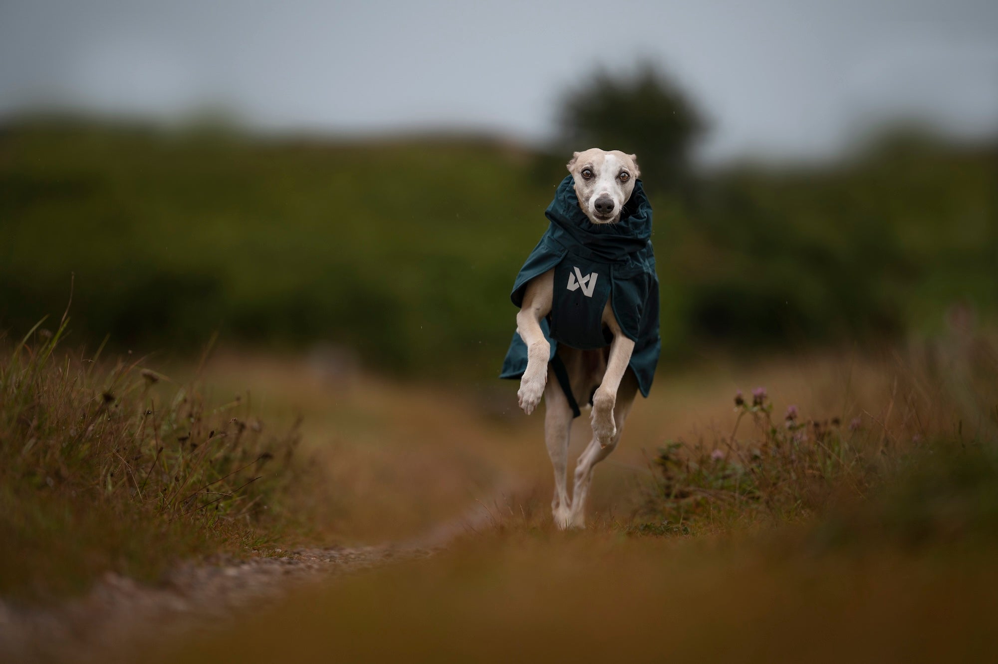 Non stop dogwear Fjord lined Raincoat Hunderegenjacke
