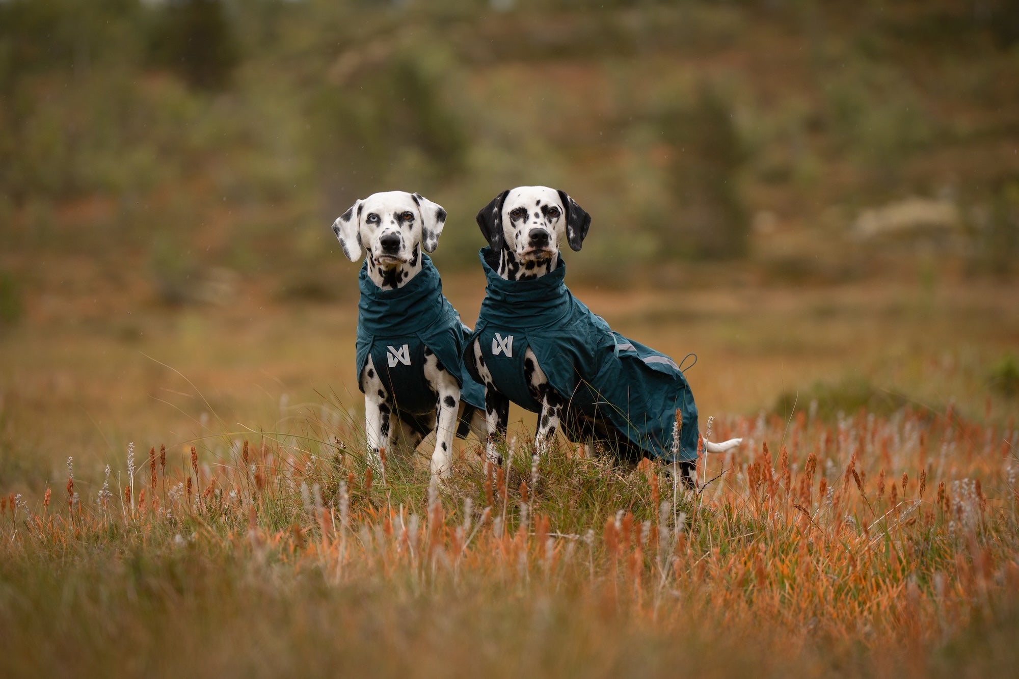 Non stop dogwear Fjord lined Raincoat Hunderegenmantel wasserabweisend