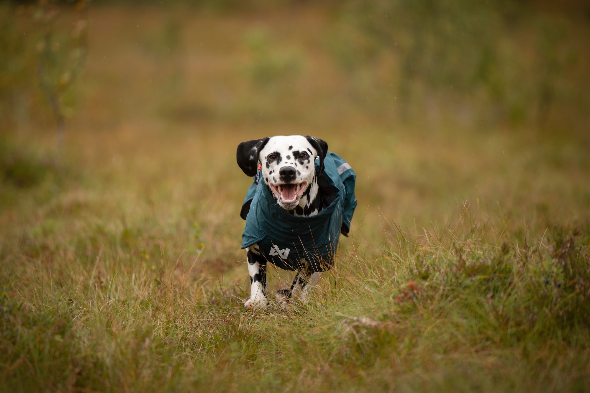 Non stop dogwear Fjord lined Raincoat Hunderegenmantel winddicht