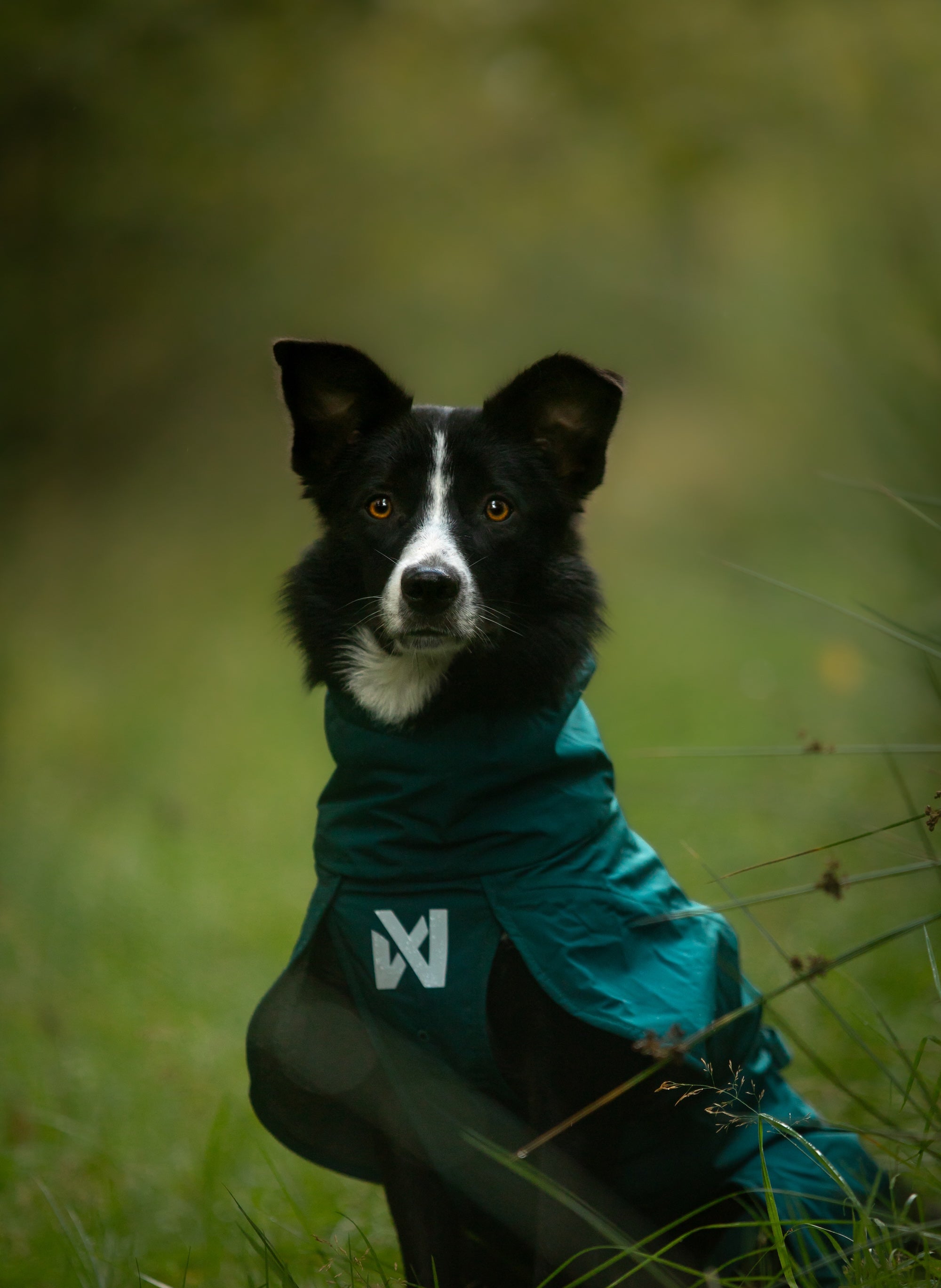 Non stop dogwear Fjord lined Raincoat Hunderegenmantel