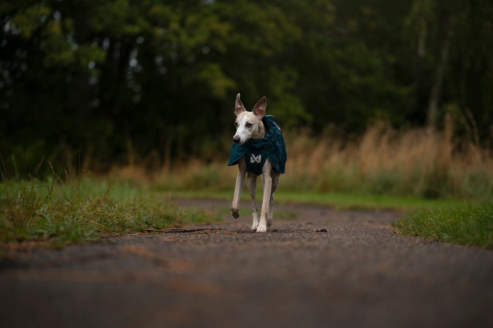 Non stop dogwear Fjord lined Raincoat Regenjacke für Hunde