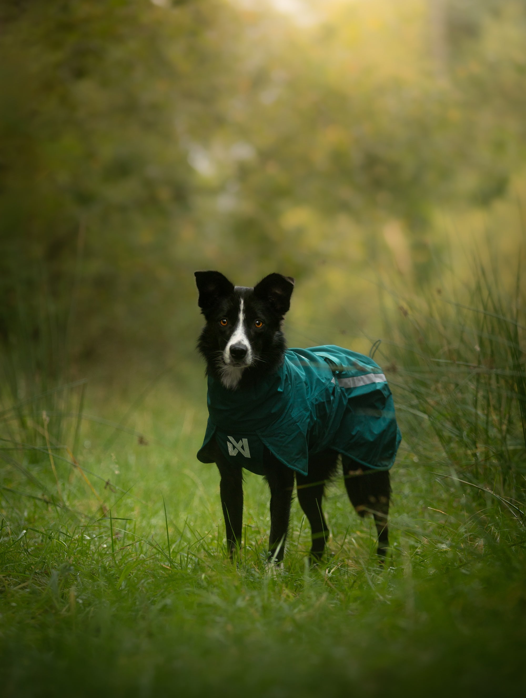 Non stop dogwear Fjord lined Raincoat Regenmantel für Hunde