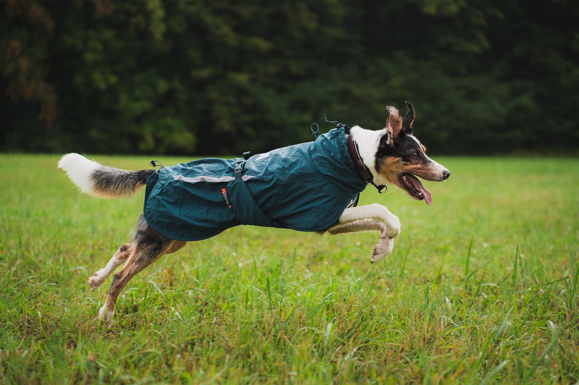 Non stop dogwear Fjord lined Raincoat wasserabweisender Mantel für Hunde