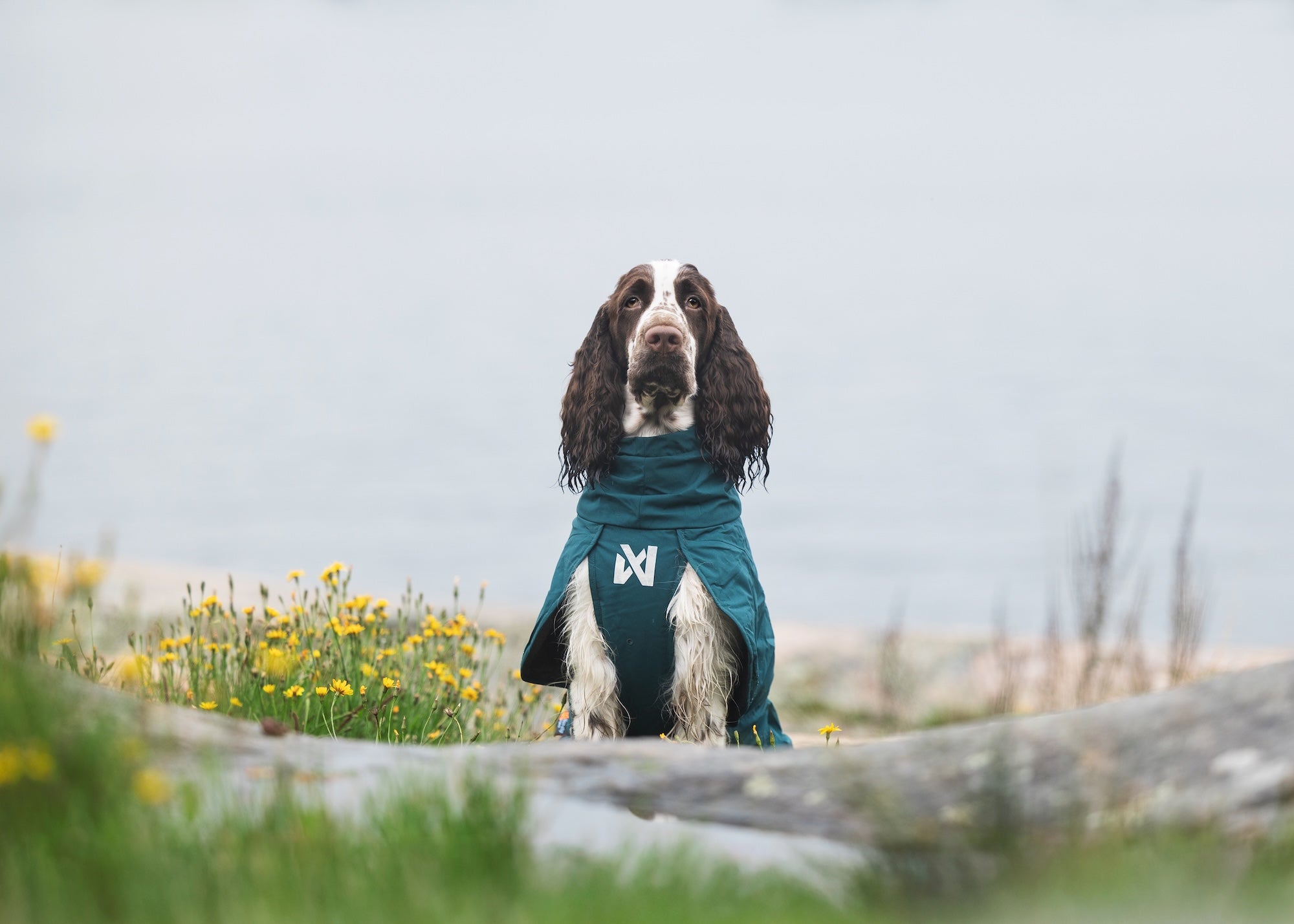 Non stop dogwear Fjord lined Raincoat wasserabweisender Regenmantel für Hunde