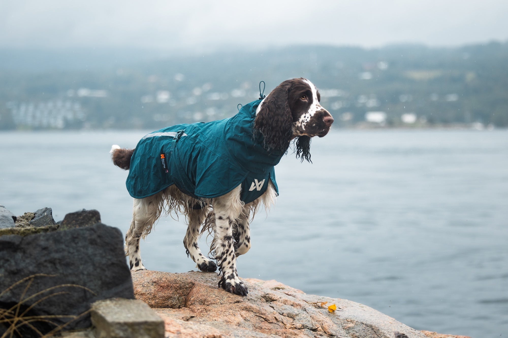 Non stop dogwear Fjord lined Raincoat winddichter Hunderegenmantel