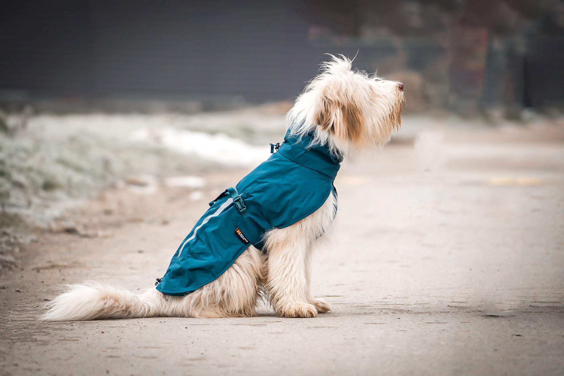Non stop dogwear Fjord lined Raincoat winddichter Regenmantel für Hunde