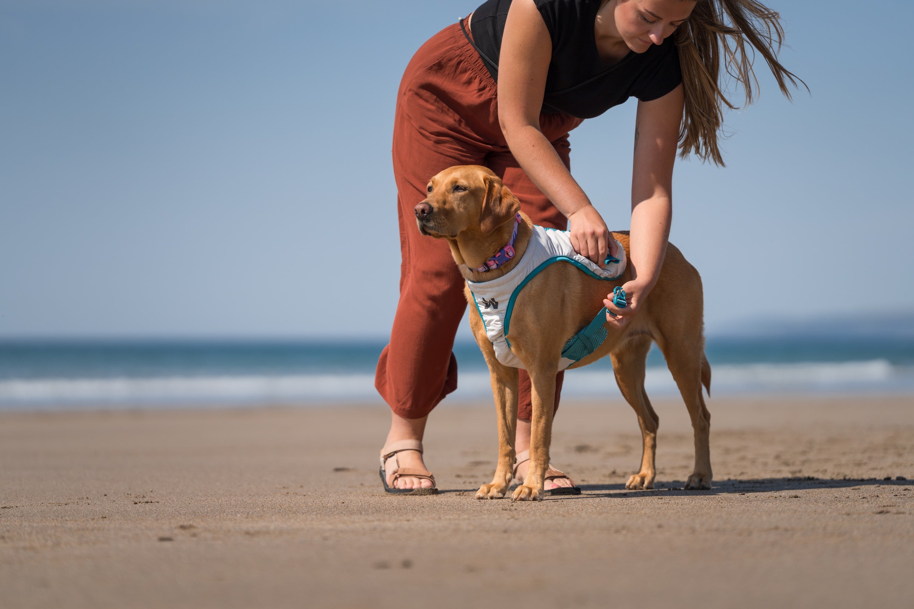 Non-stop dogwear® Cooling Vest Light Gray / Teal Kühljacke für Hunde im Sommer