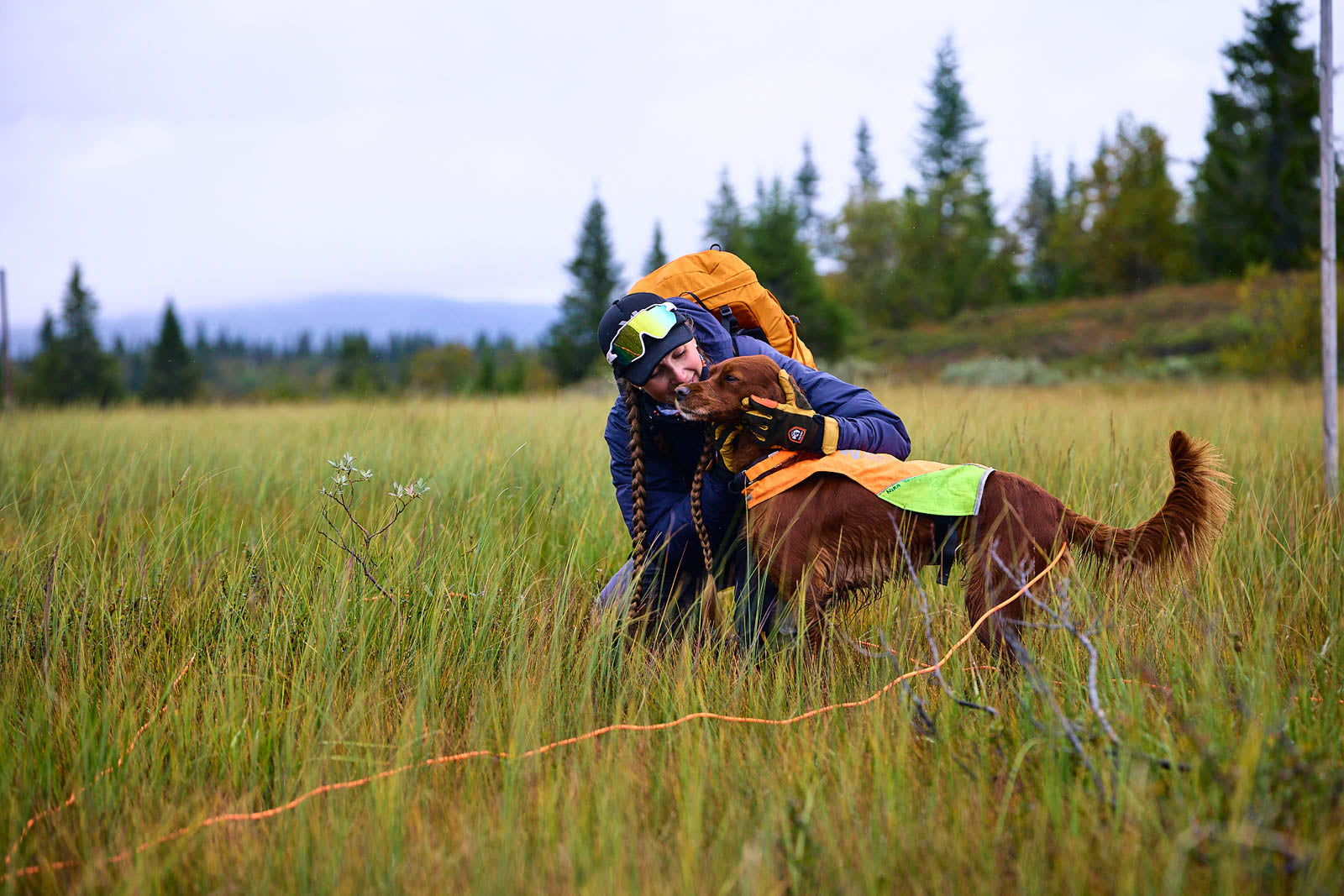 Non-stop dogwear® Protector Round Long Line Spaziergang Schleppleine