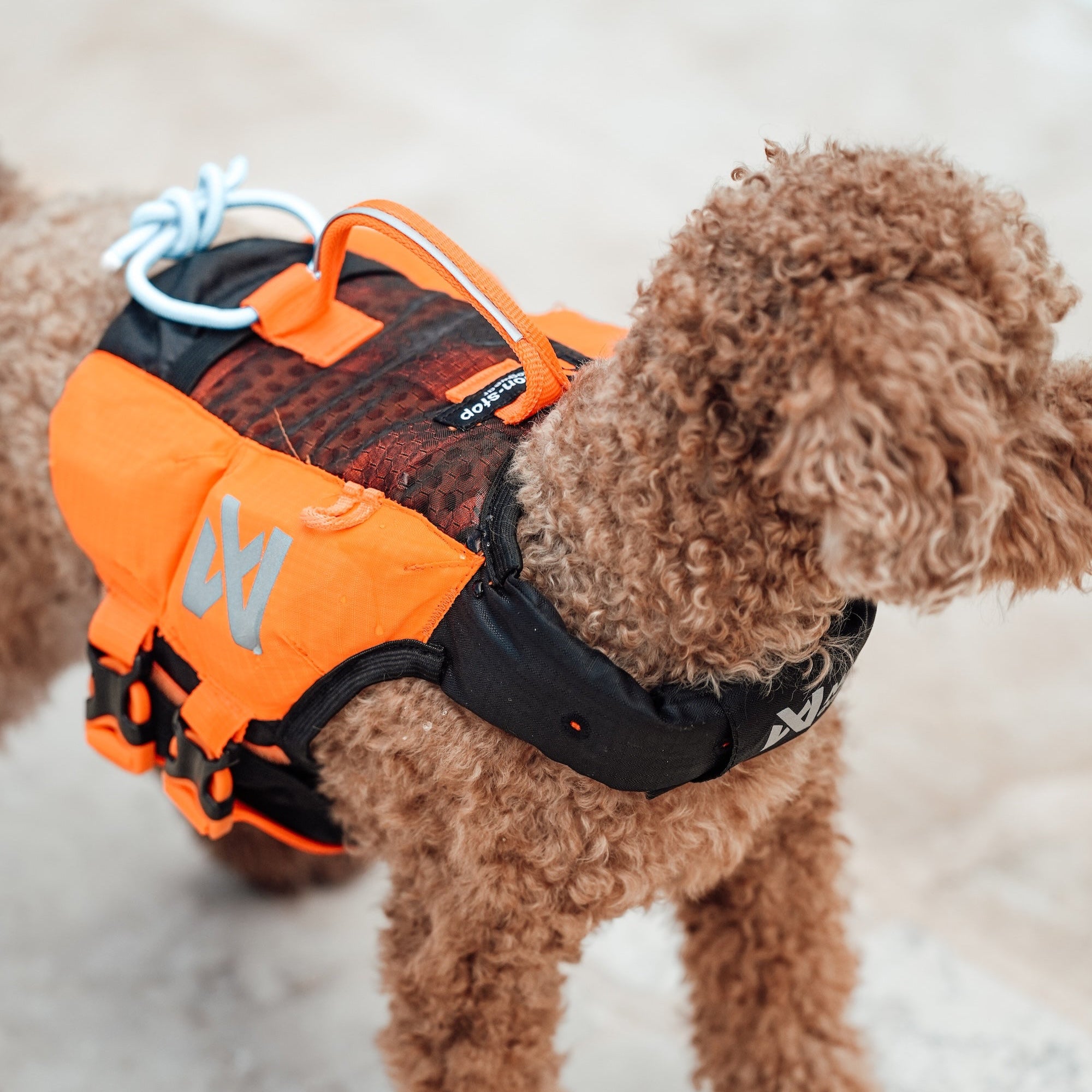 Non-stop dogwear Protector Life Jacket Orange Black Schwimmweste für Hunde Wasserspielzeug für Hunde