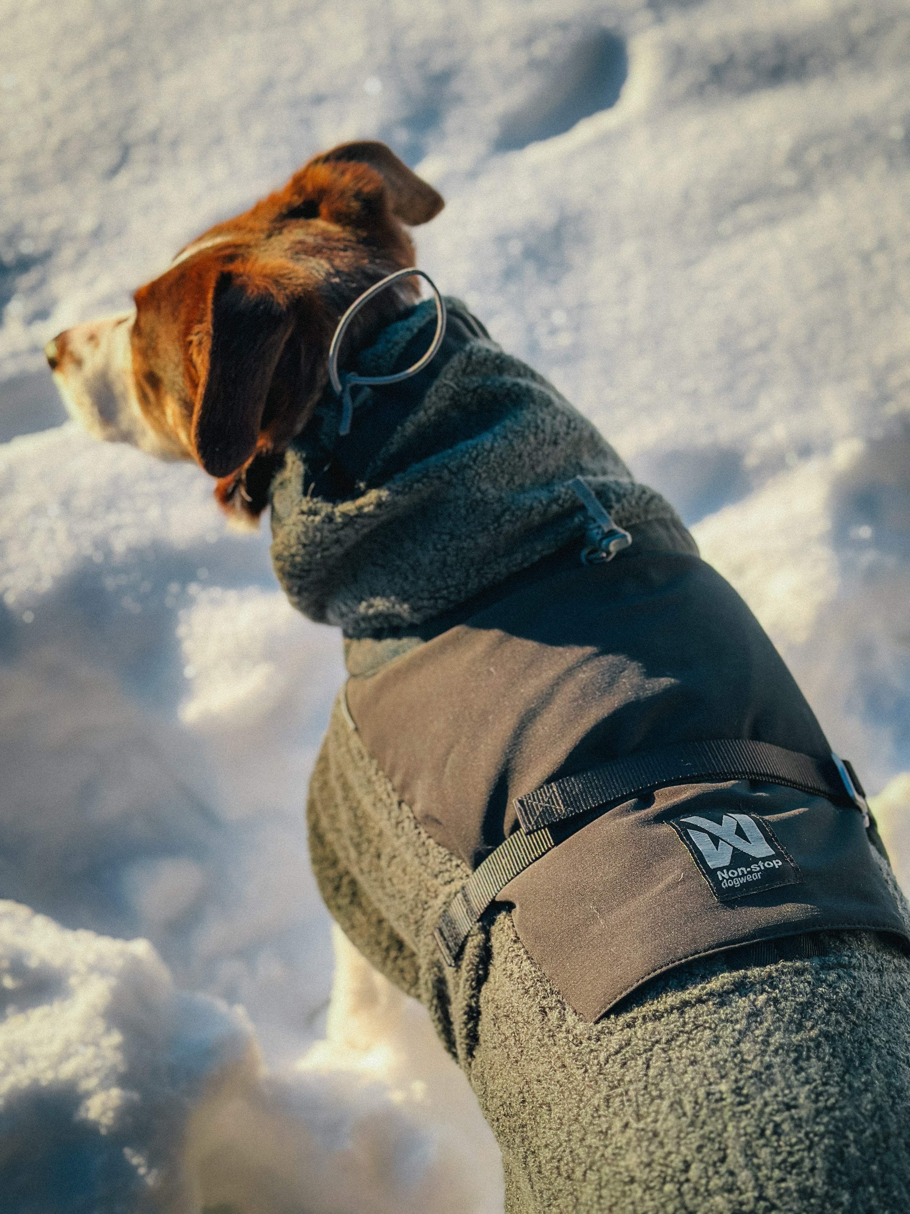 Non-stop dogwear® Wool Dog Jacket Jacke Hunde Winter