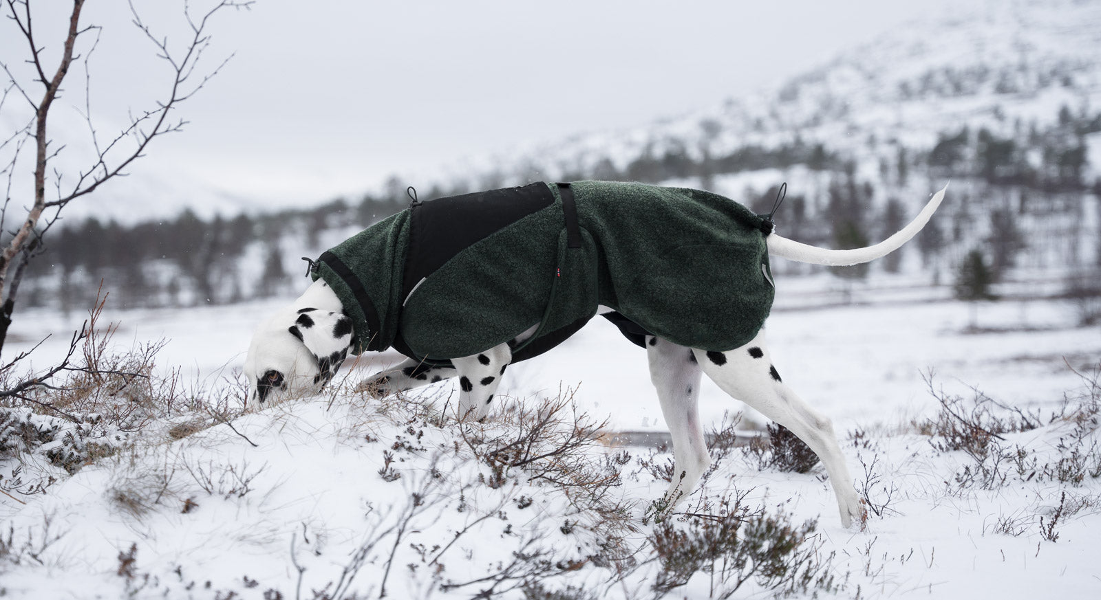 Non-stop dogwear® Wool Dog Jacket Wintermantel Hund Wolle