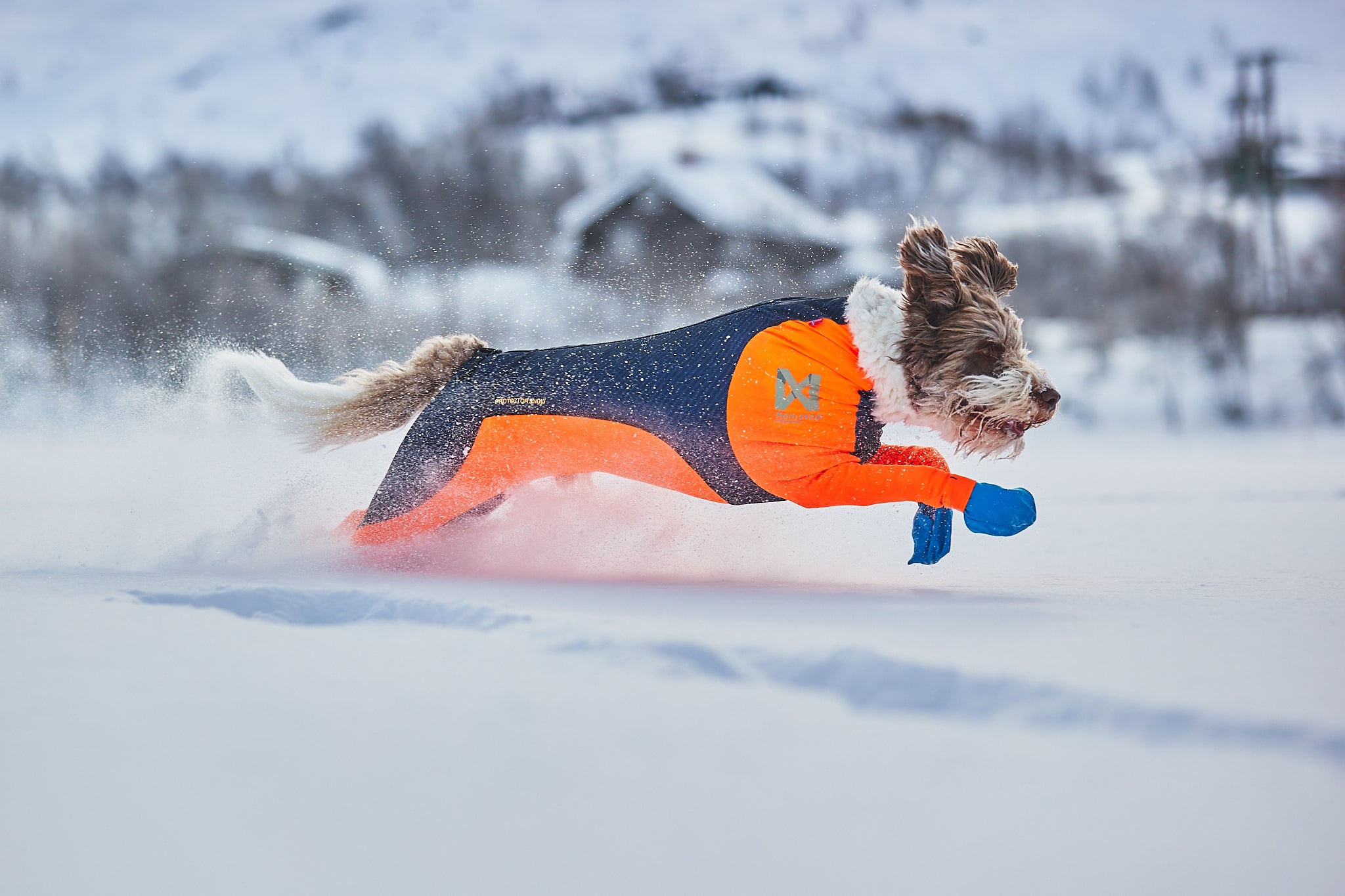 Nonstop dogwear Protector Snow schützender Ganzkoerperanzug fuer Hunde