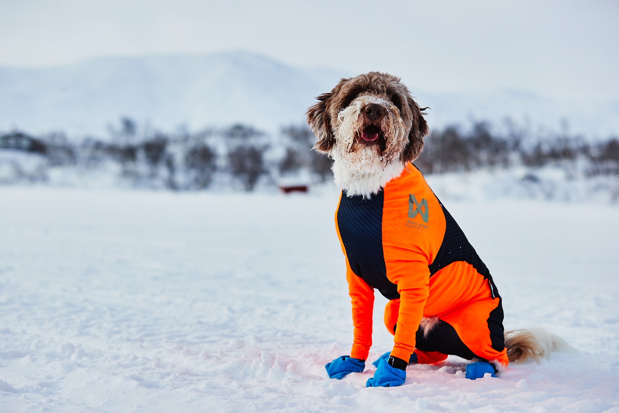 Nonstop dogwear Protector Snow warmer Ganzkoerperanzug fuer Hunde