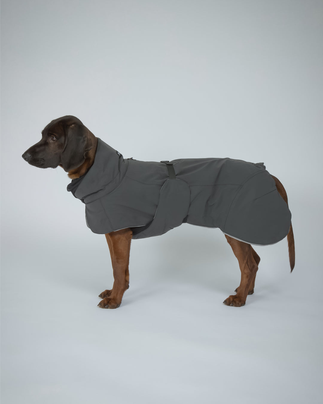 Paikka Hochreflektierende Hundewinterjacke / Dunkel Hundemantel Winter