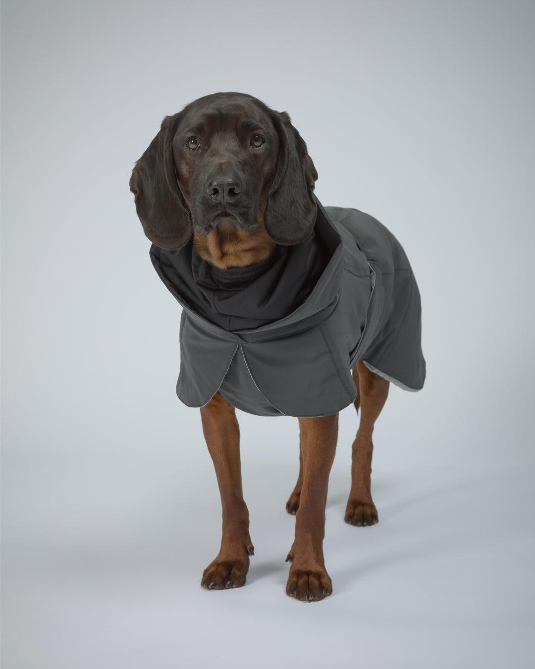 Paikka Hochreflektierende Hundewinterjacke / Dunkel Wintermantel Hunde