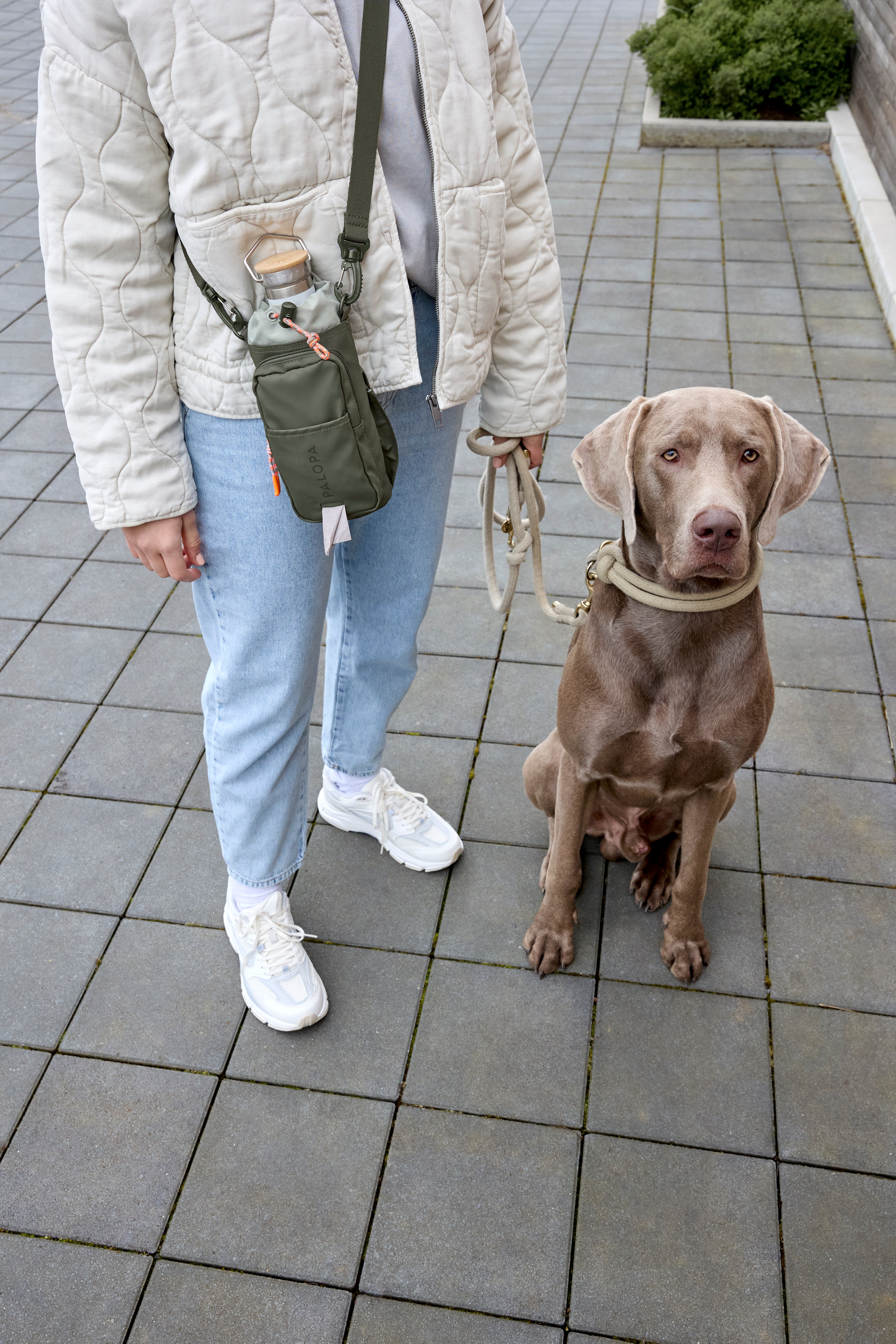 PALOPA Flaschen- und Leckerlitasche Boudi Dunkelgrün Tasche für Leckerlis