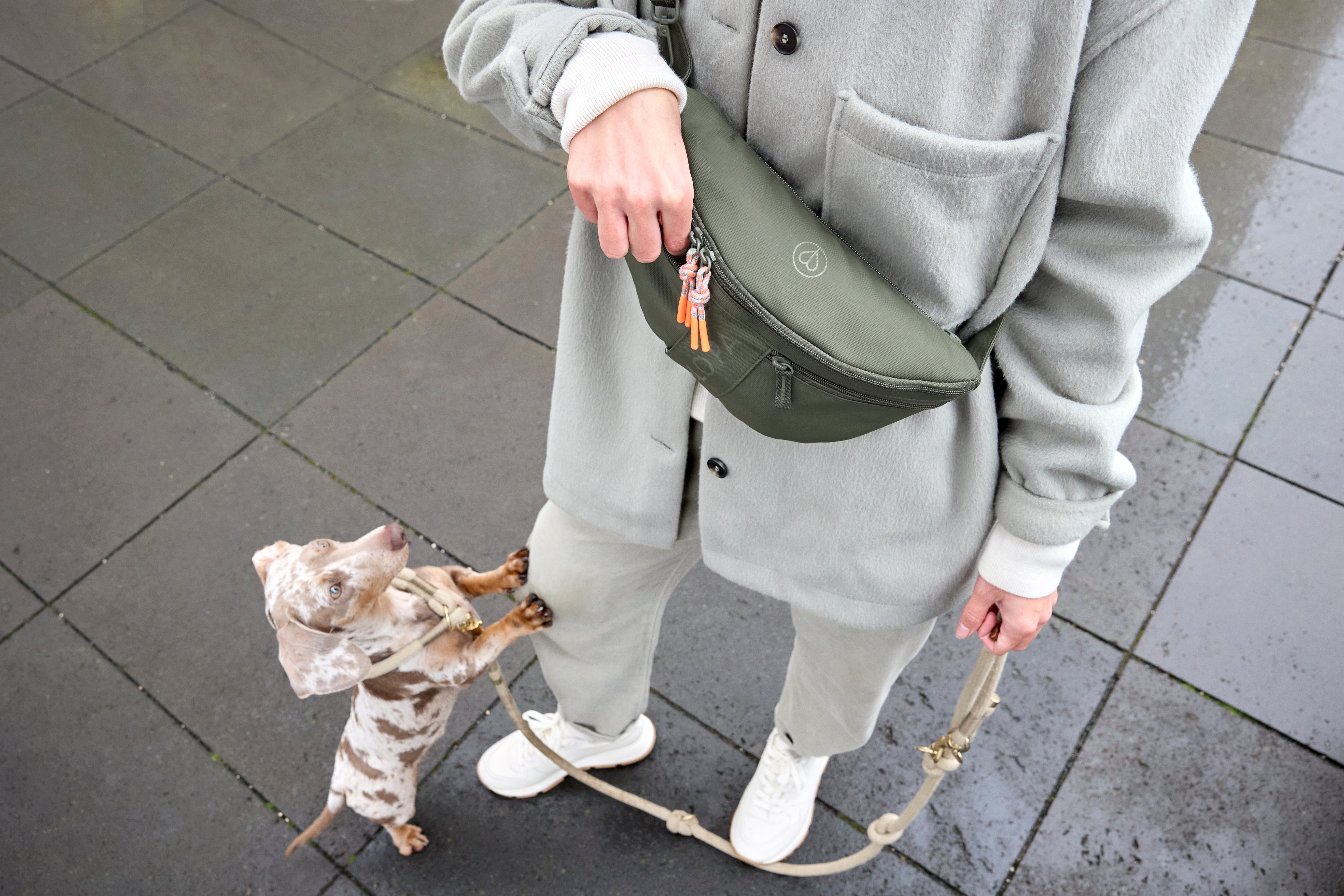 PALOPA Hunde Leckerlibeutel Emma Dunkelgrün Snack Bag