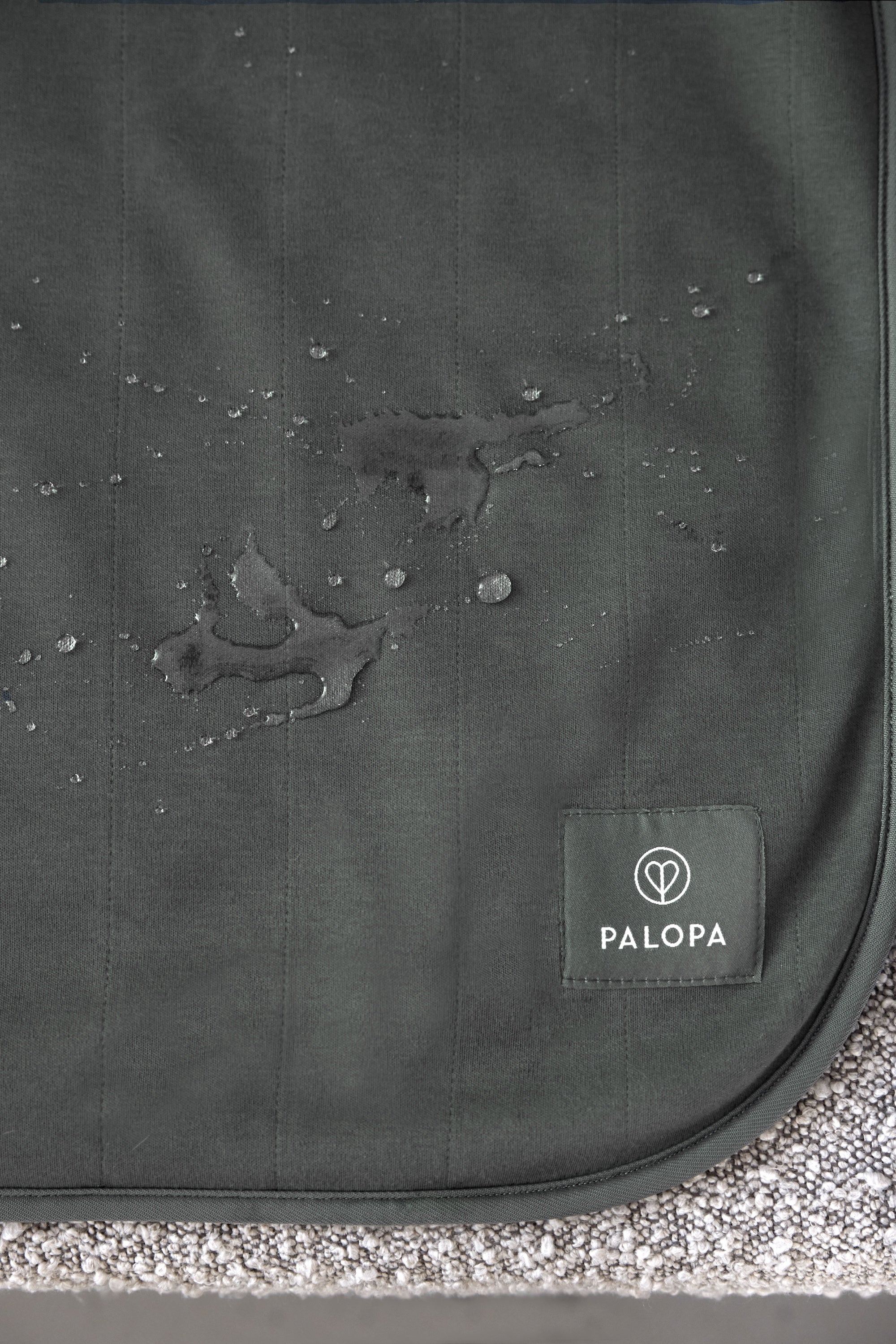 PALOPA Hunde Schmutzfangmatte Benti Anthrazit Hundematte