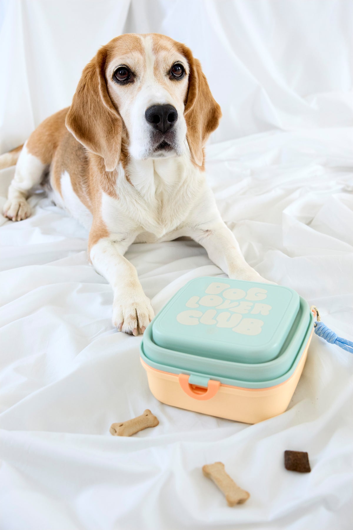 PALOPA Hunde Snack Box Dobo Blue Haze Futternapf