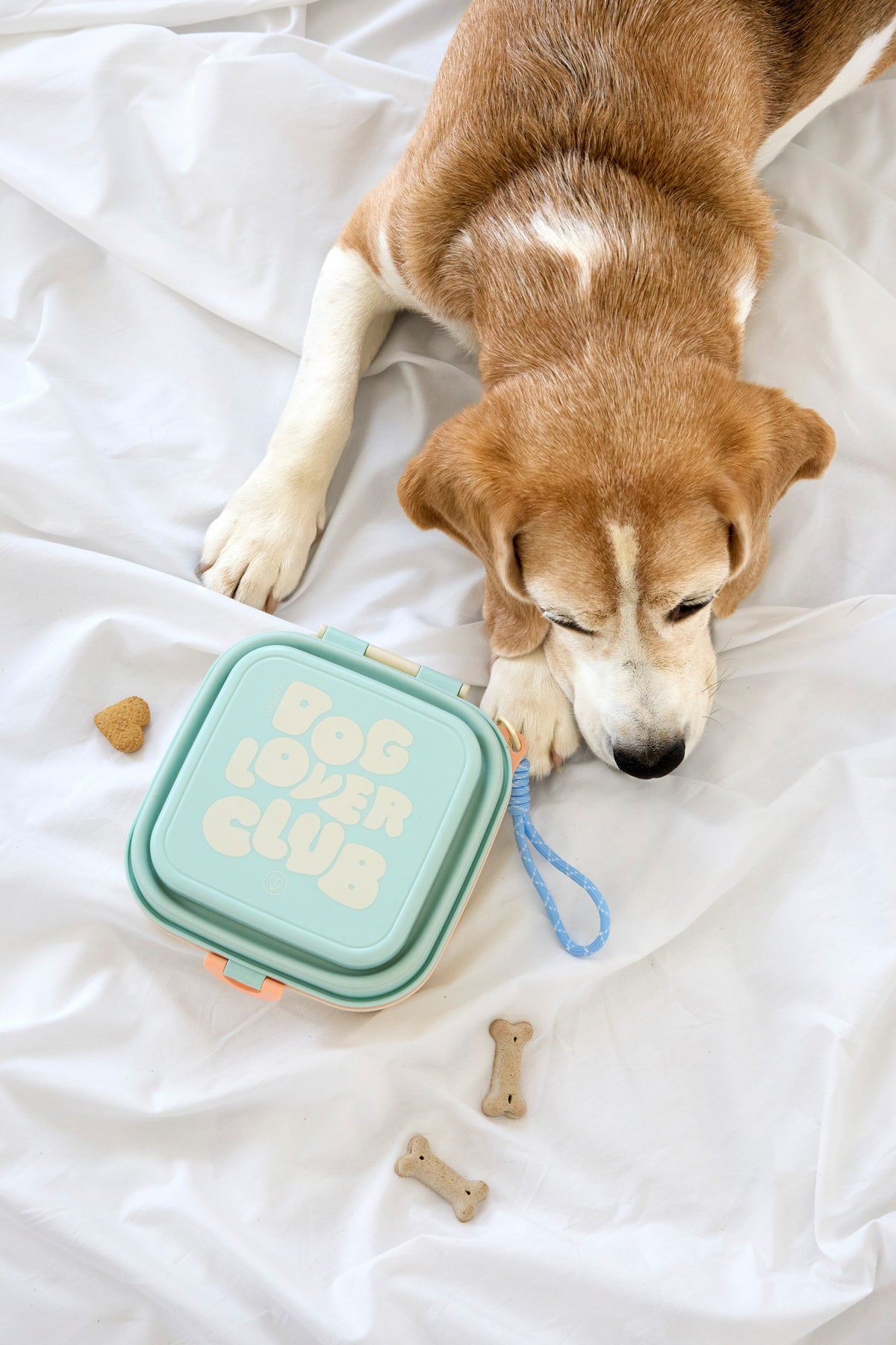 PALOPA Hunde Snack Box Dobo Blue Haze Hundenapf