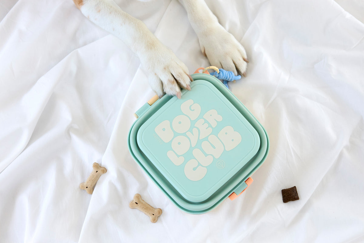 PALOPA Hunde Snack Box Dobo Blue Haze Reisenapf Hund