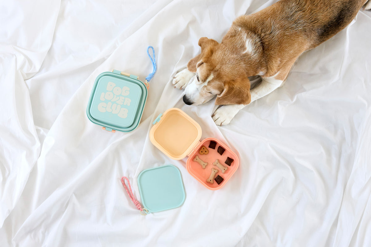 PALOPA Hunde Snack Box Dobo Vanilla Leckerlidose