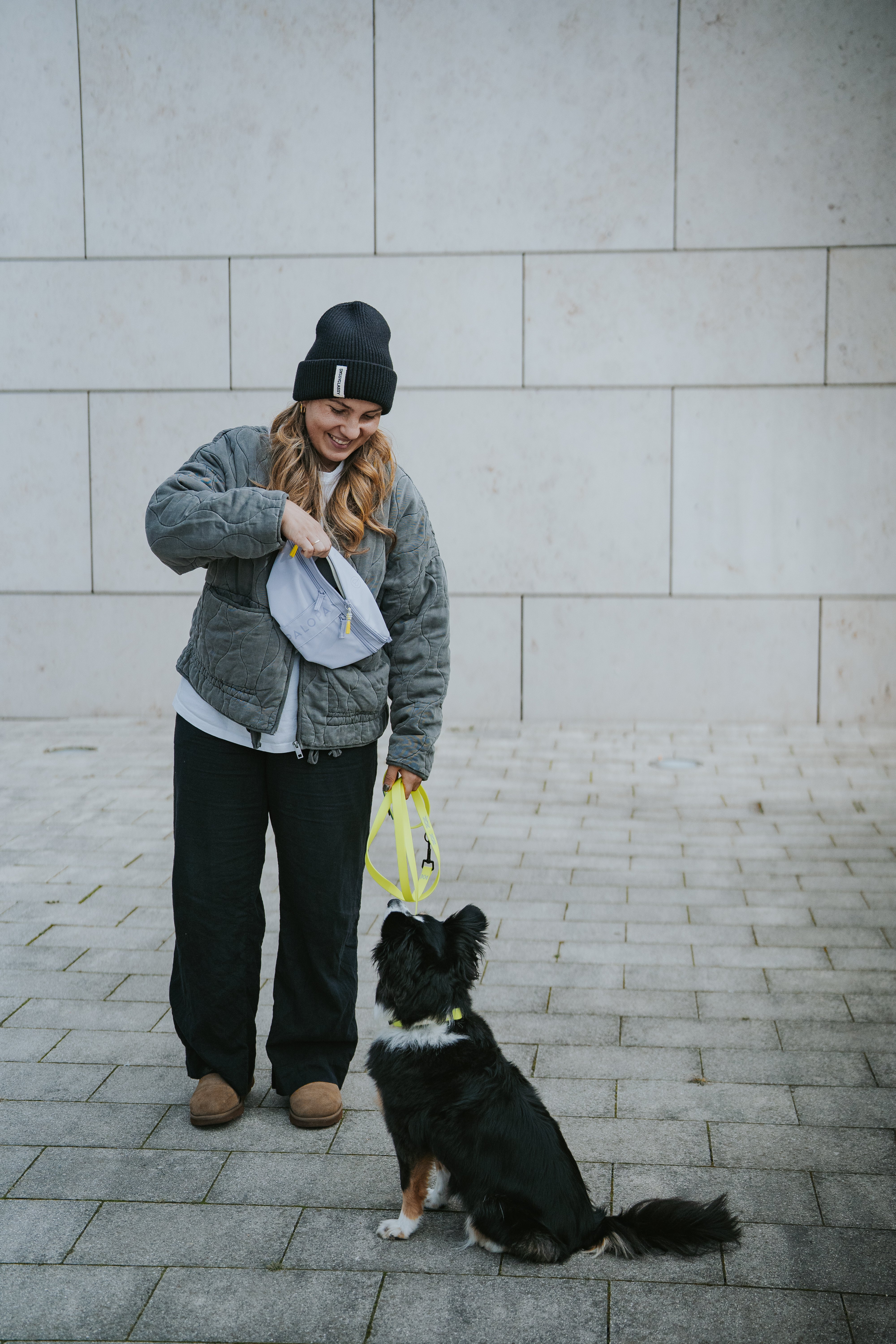 PALOPA Hunde Leckerlibeutel Emma Purple Bauchtasche Hundetraining Leckerlibeutel zum Umhängen