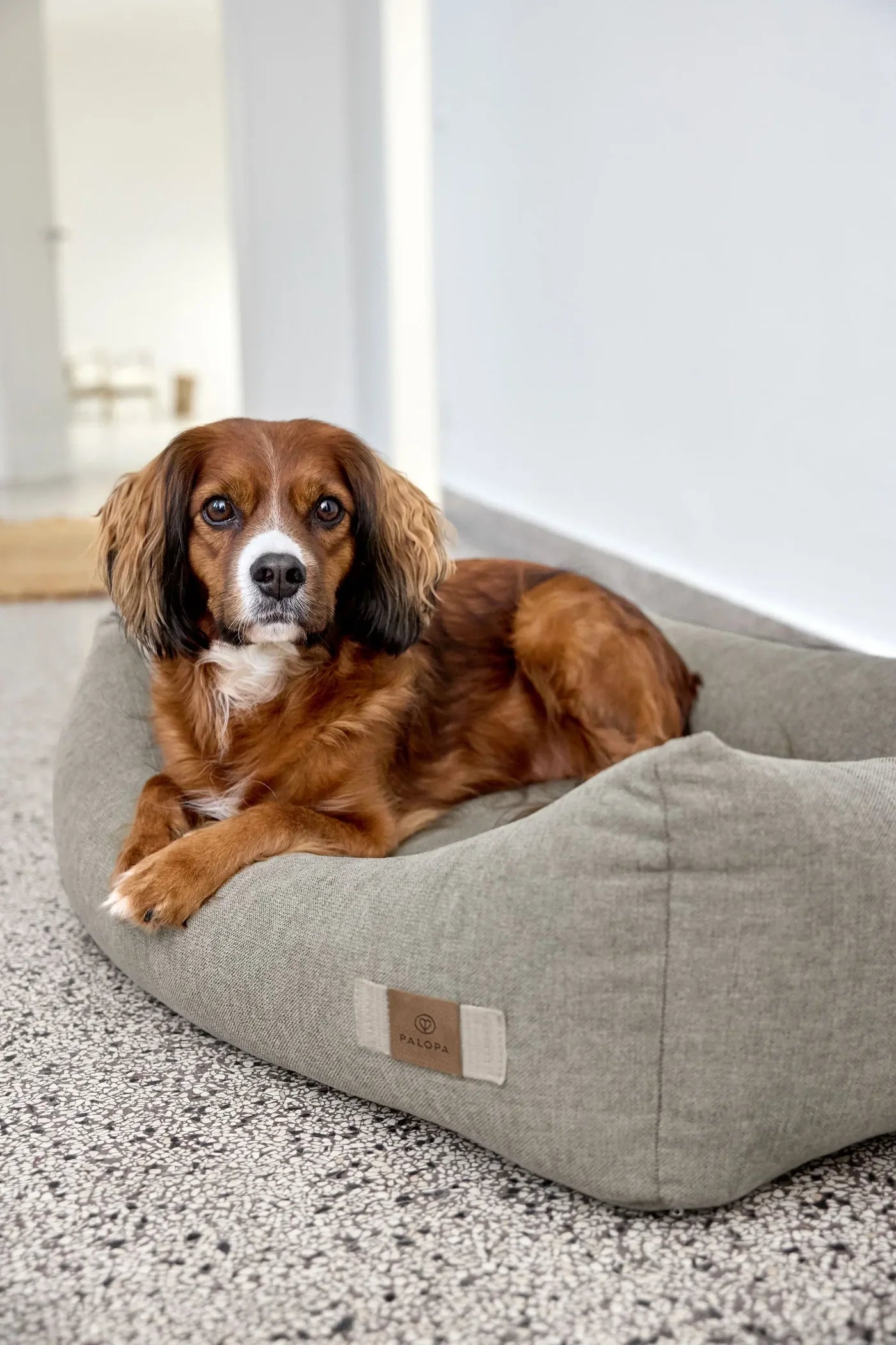 PALOPA Hundebett Baumwolle Fred Grau Ergonomisches Hundebett 