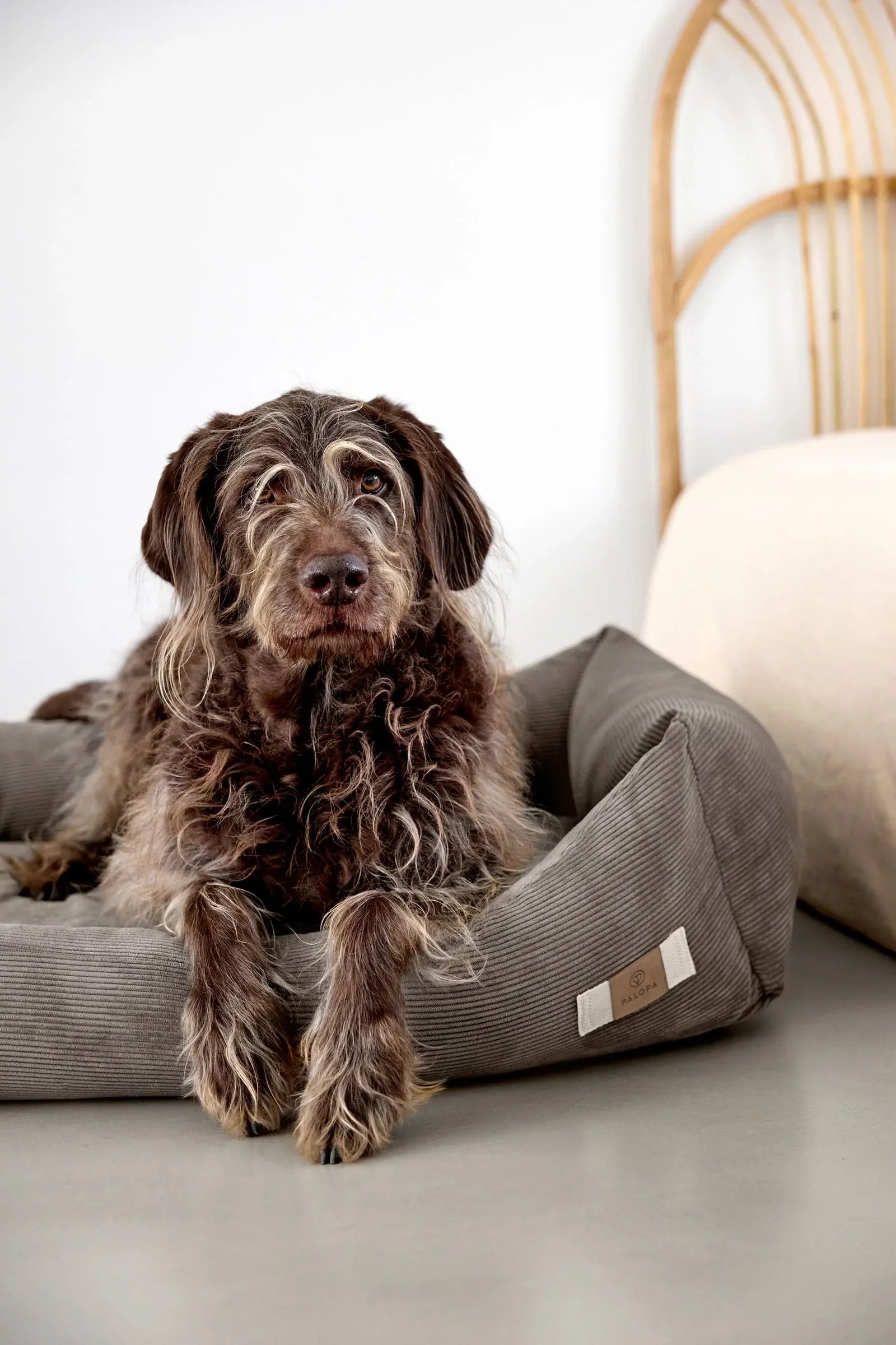 PALOPA Hundebett Cord Fred Braun Hundebett waschbar 