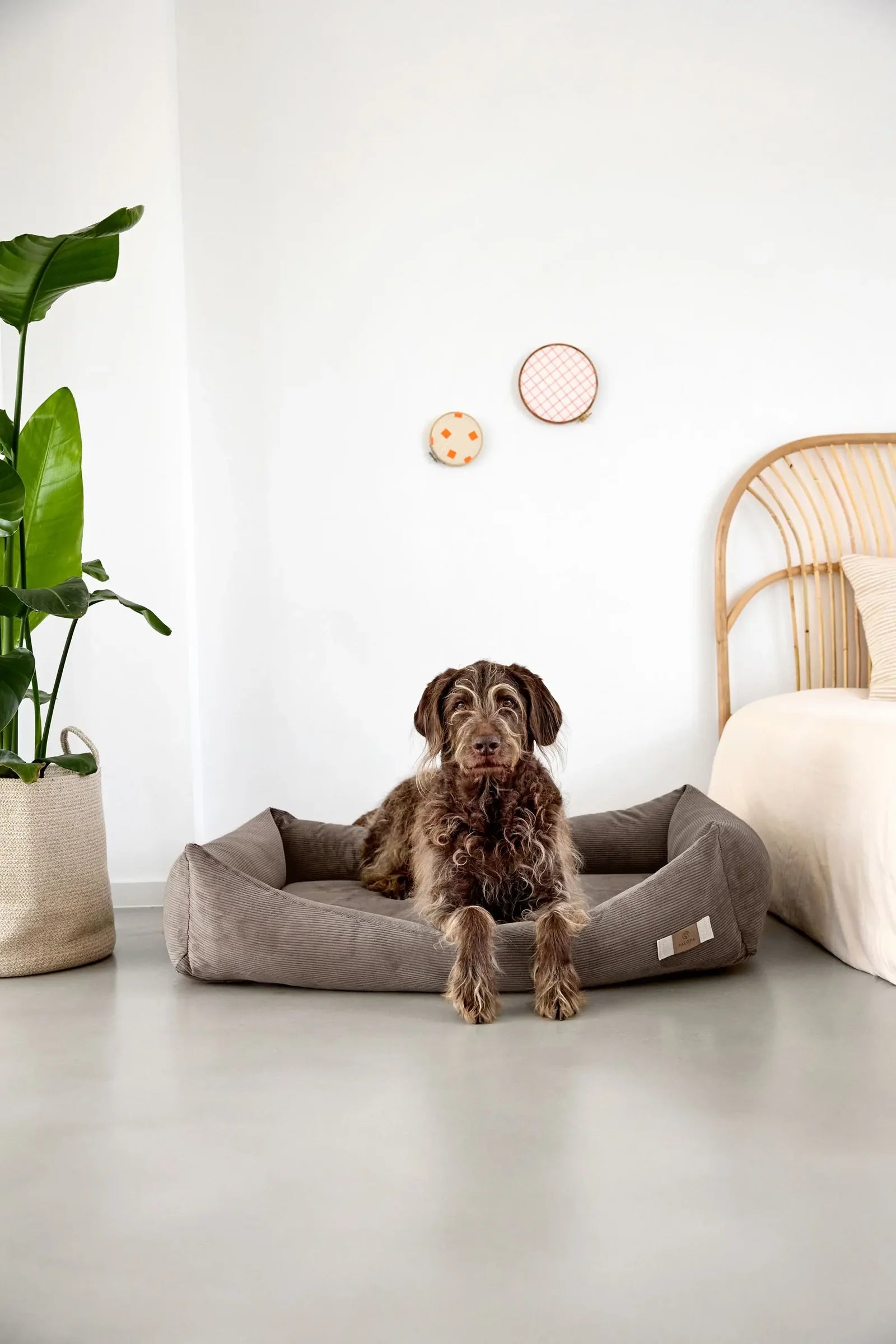 PALOPA Hundebett Cord Fred Braun Hundekissen ergonomisch