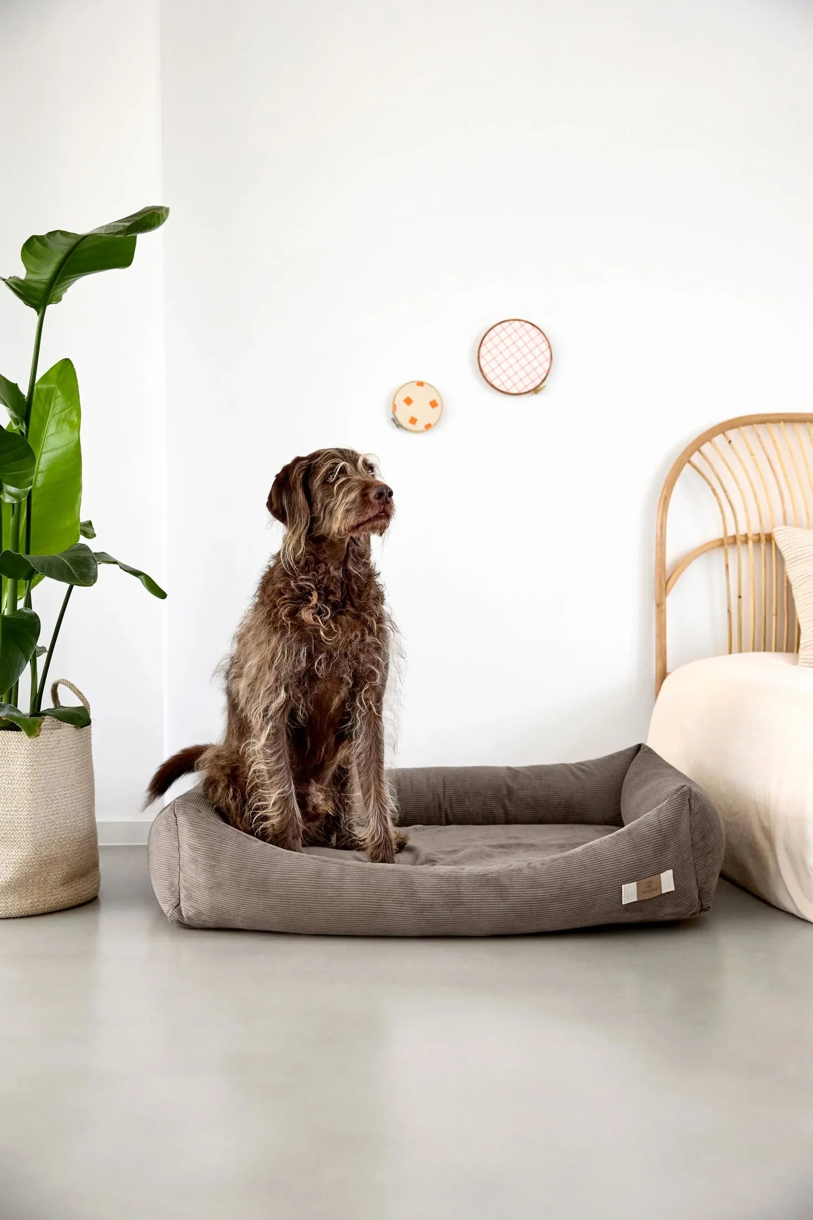 PALOPA Hundebett Cord Fred Braun Hundekissen formstabil