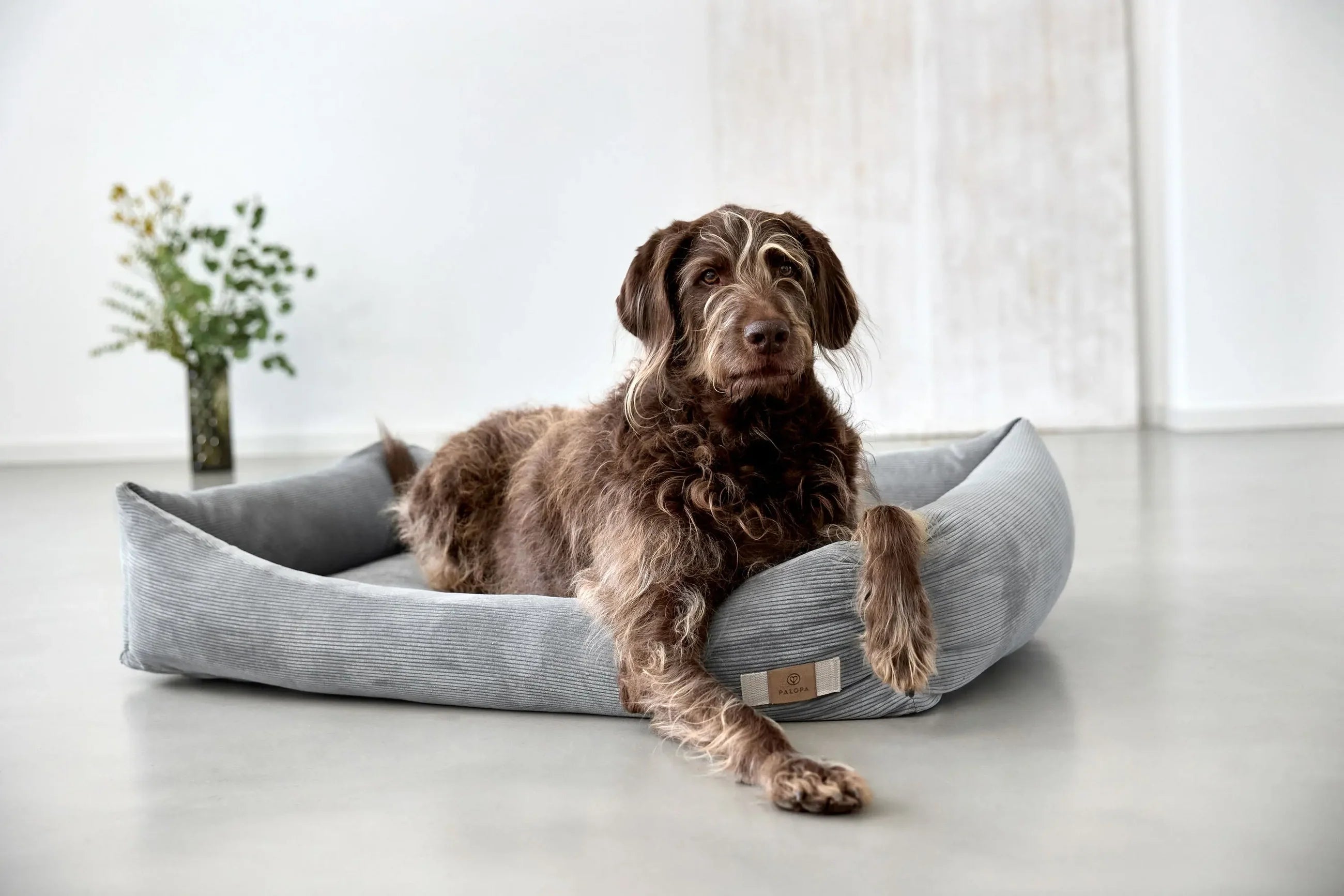 Hundebett Cord Fred Grau