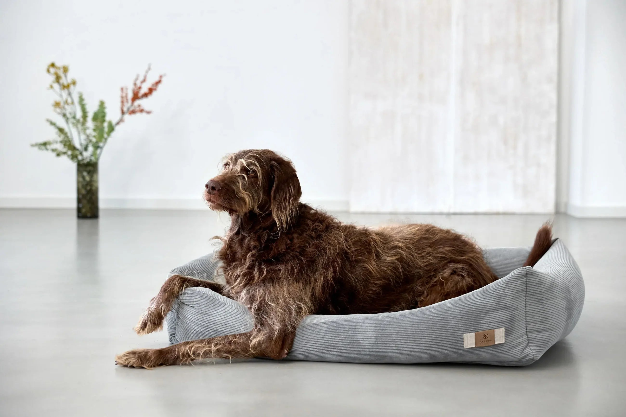 Hundebett Cord Fred Grau