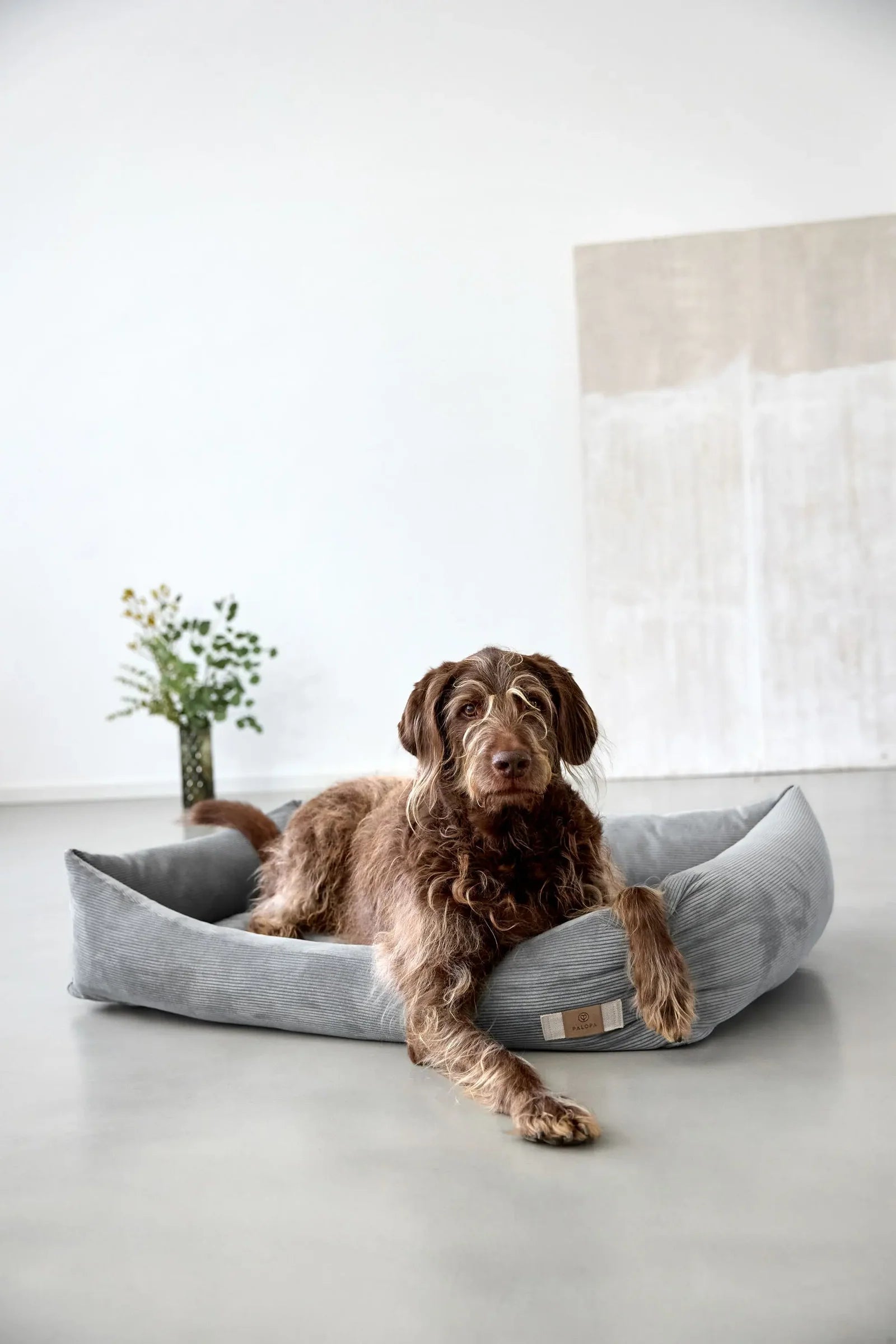 Hundebett Cord Fred Grau