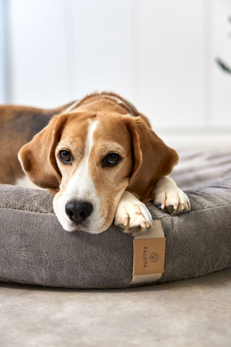 PALOPA Hundebett Donut Fippa Taupe Hundebett