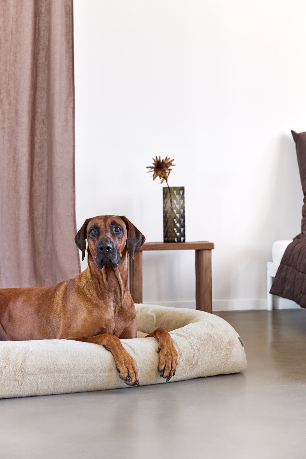 PALOPA Hundebett Soma Cashmere Hundebett mit Rand