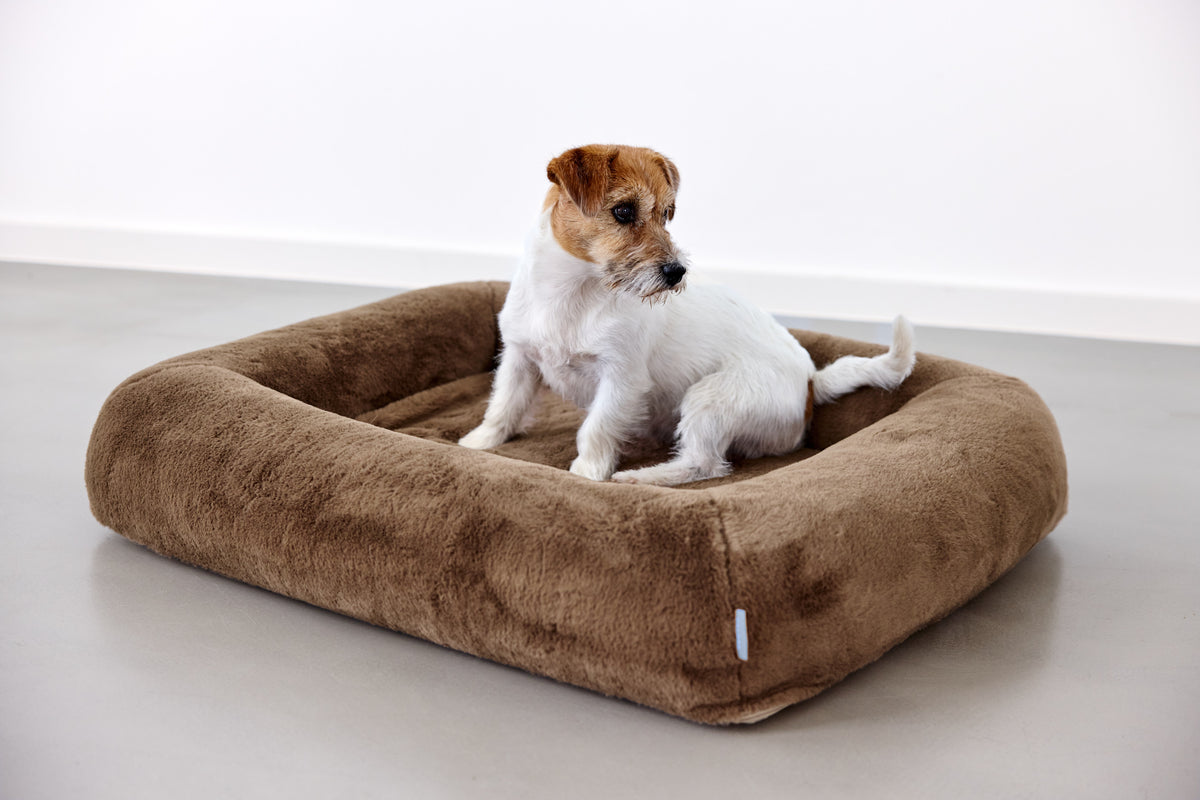 PALOPA Hundebett Soma Hazel Hundebett mit Rand