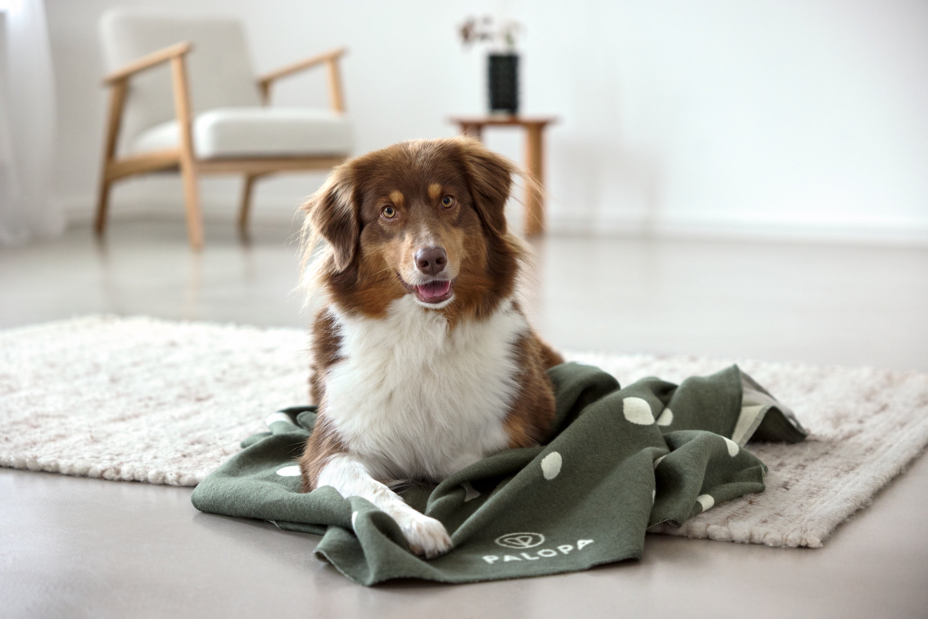 PALOPA Hundedecke Ida Punkte Rosa Dunkelgrün Decke für Hunde waschbar