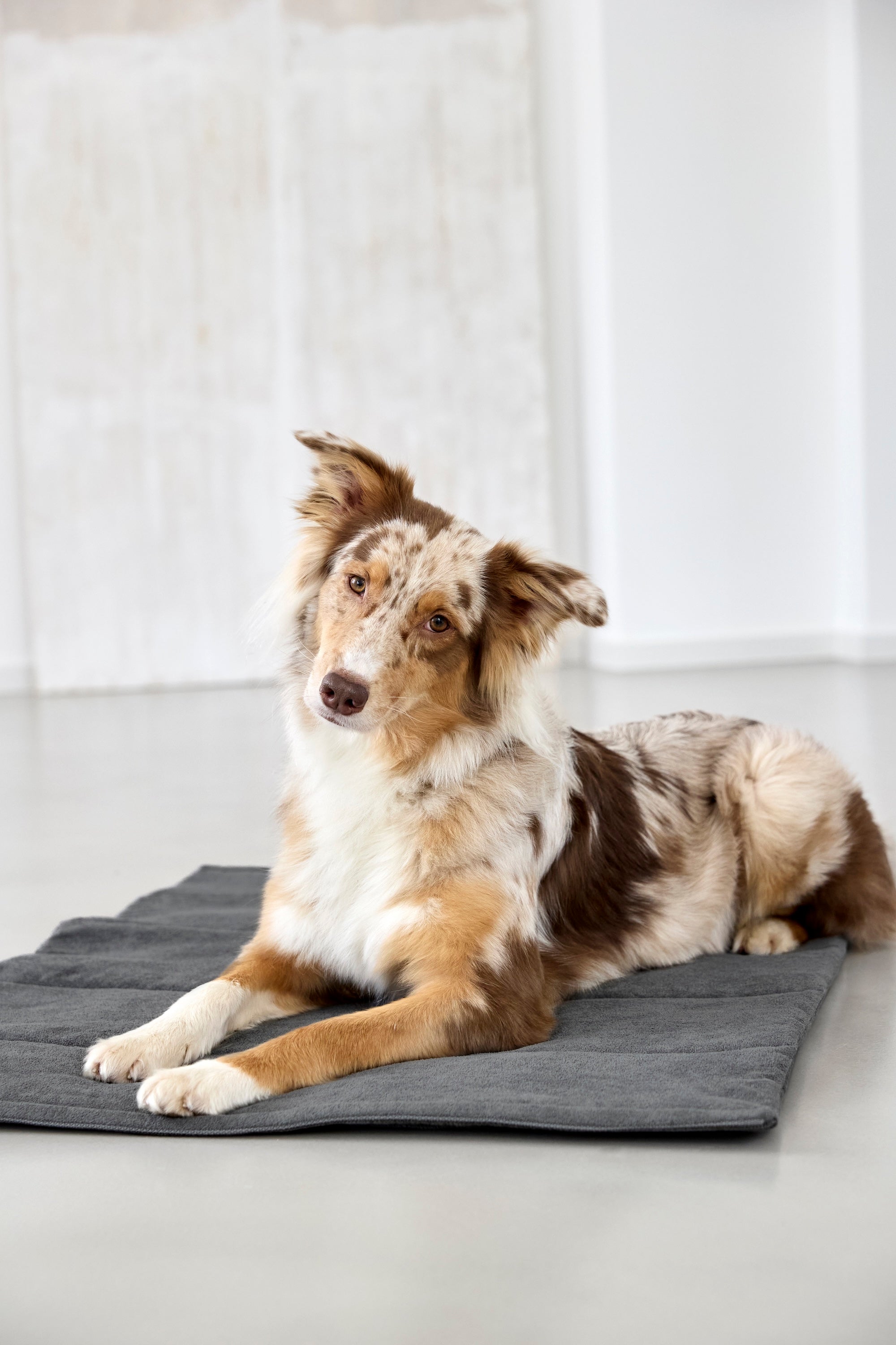 PALOPA Hundematte Alma Anthrazit Hundereisedecke