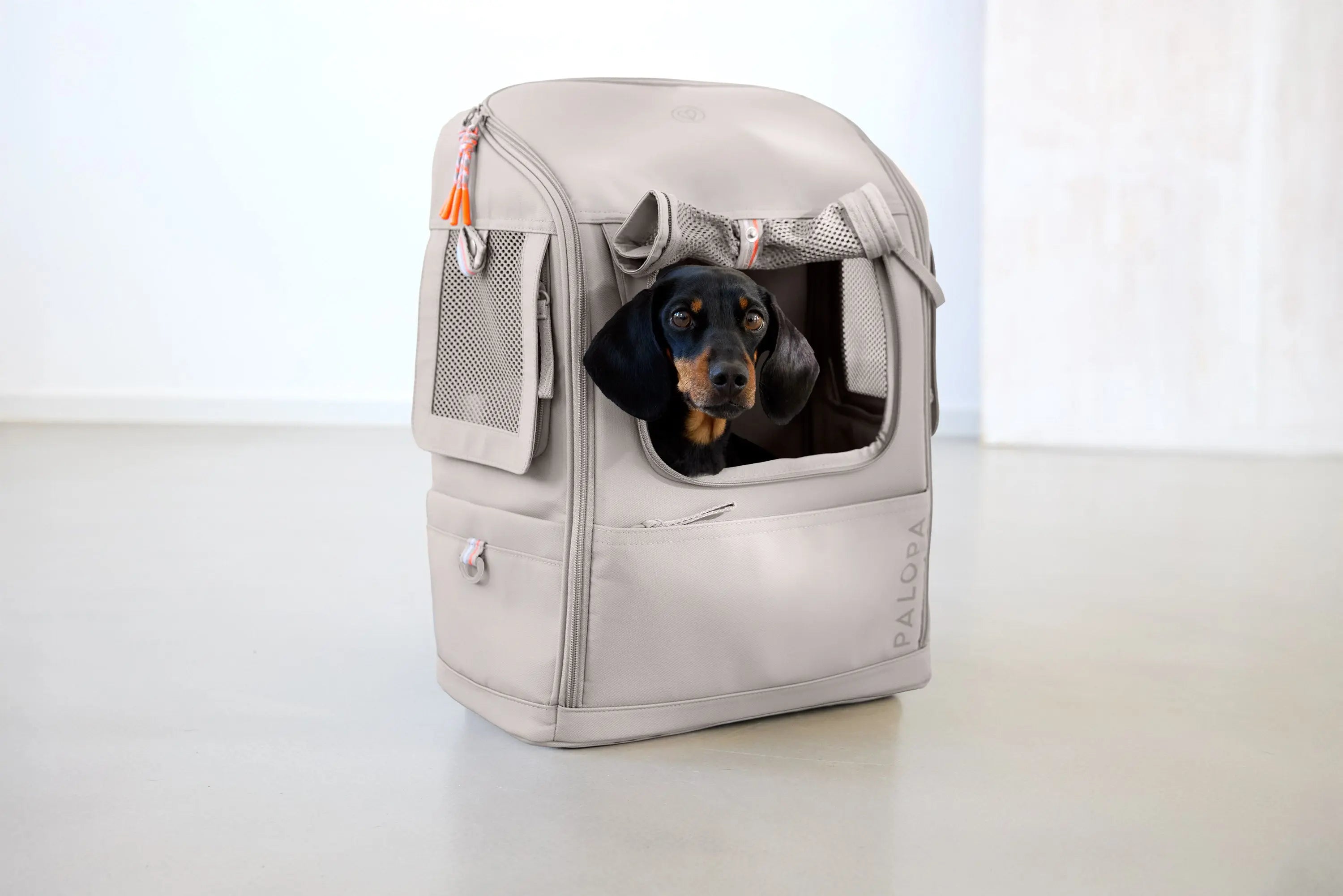 Hundetragerucksack Kari Taupe