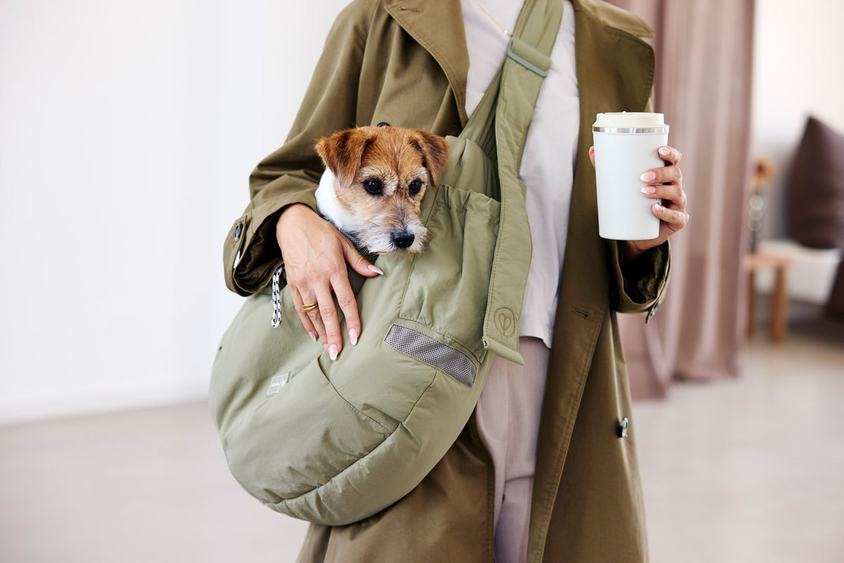 PALOPA Hundetragetasche Bara Crinkled Pale Olive Hundetragetasche zum Umhängen
