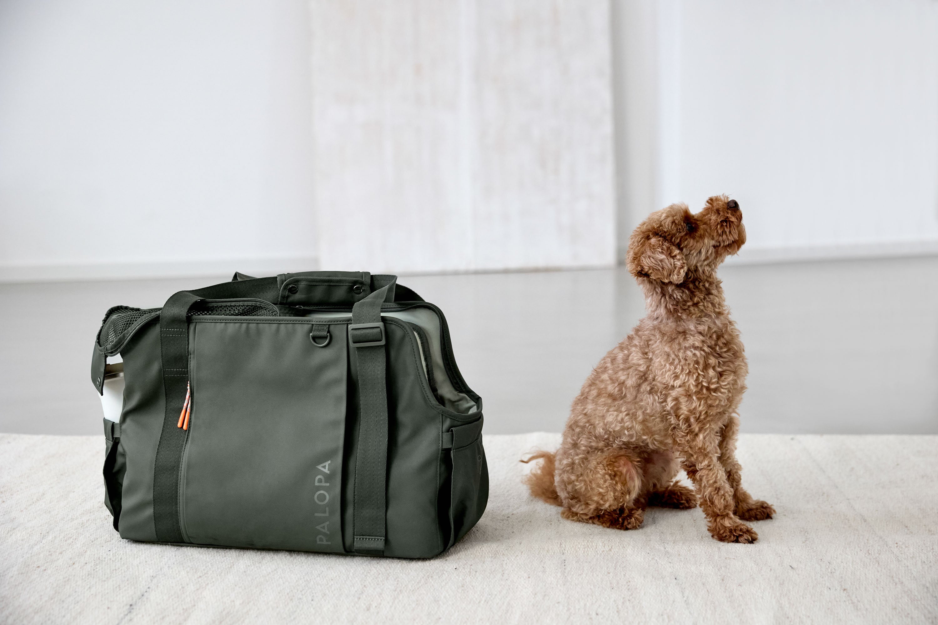 PALOPA Hundetragetasche Weda Dunkelgrün Flugreisetasche 